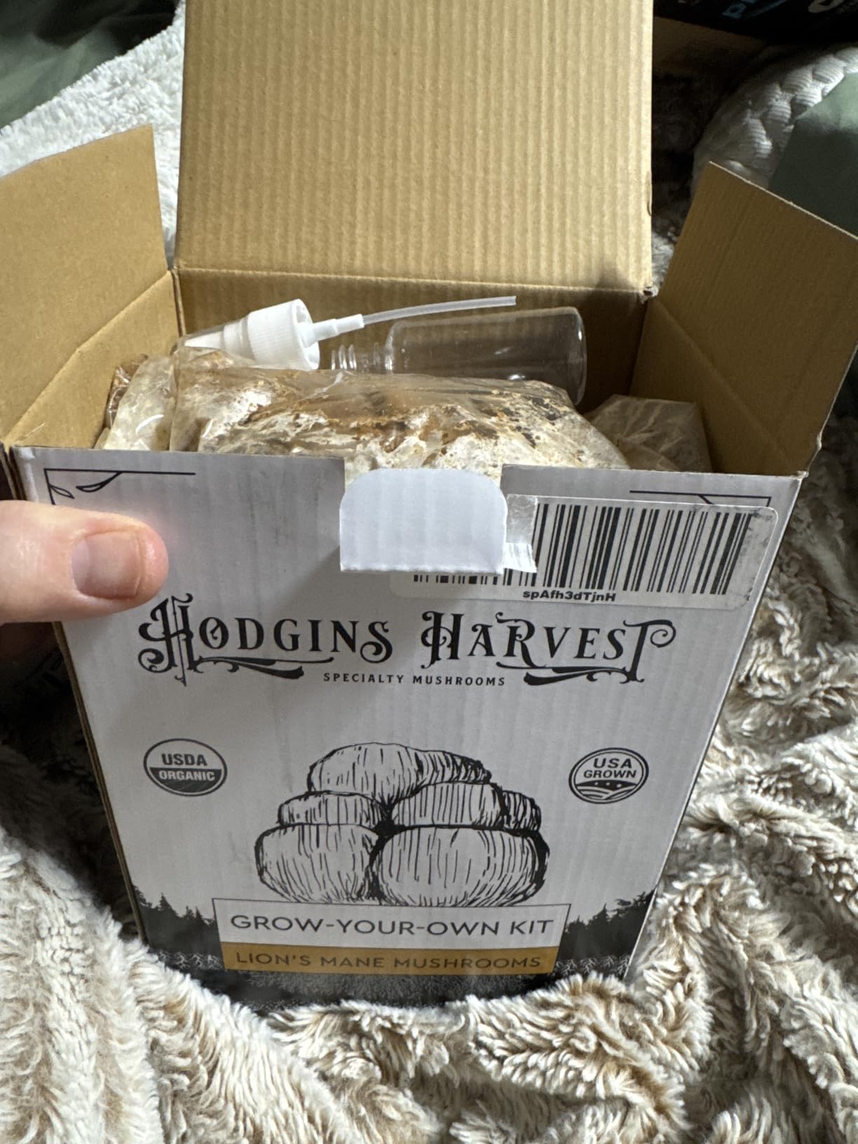 Organic Lion's Mane Mushroom Growing Kit - Indoor Gardening Kit for Fresh Gourmet Mushrooms - Easy to Grow at Home - 3.5 lb customer photo 1