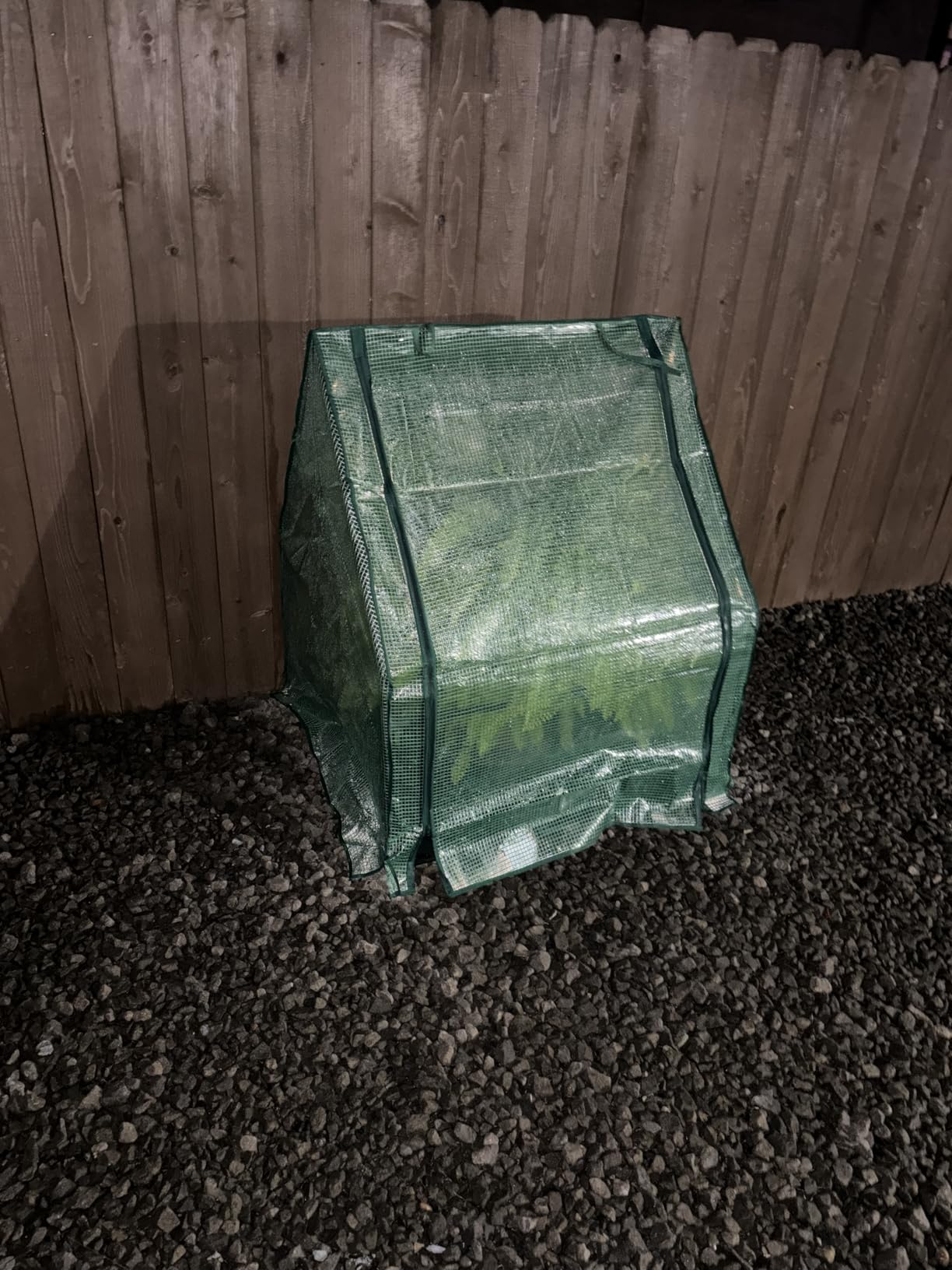 U'Artlines Portable Mini Greenhouse Small Green House with Waterproof Pad 36x18x33 Inch Plant Cover Tent for Garden Small Plants Indoor Outdoor, Green PE customer photo 1