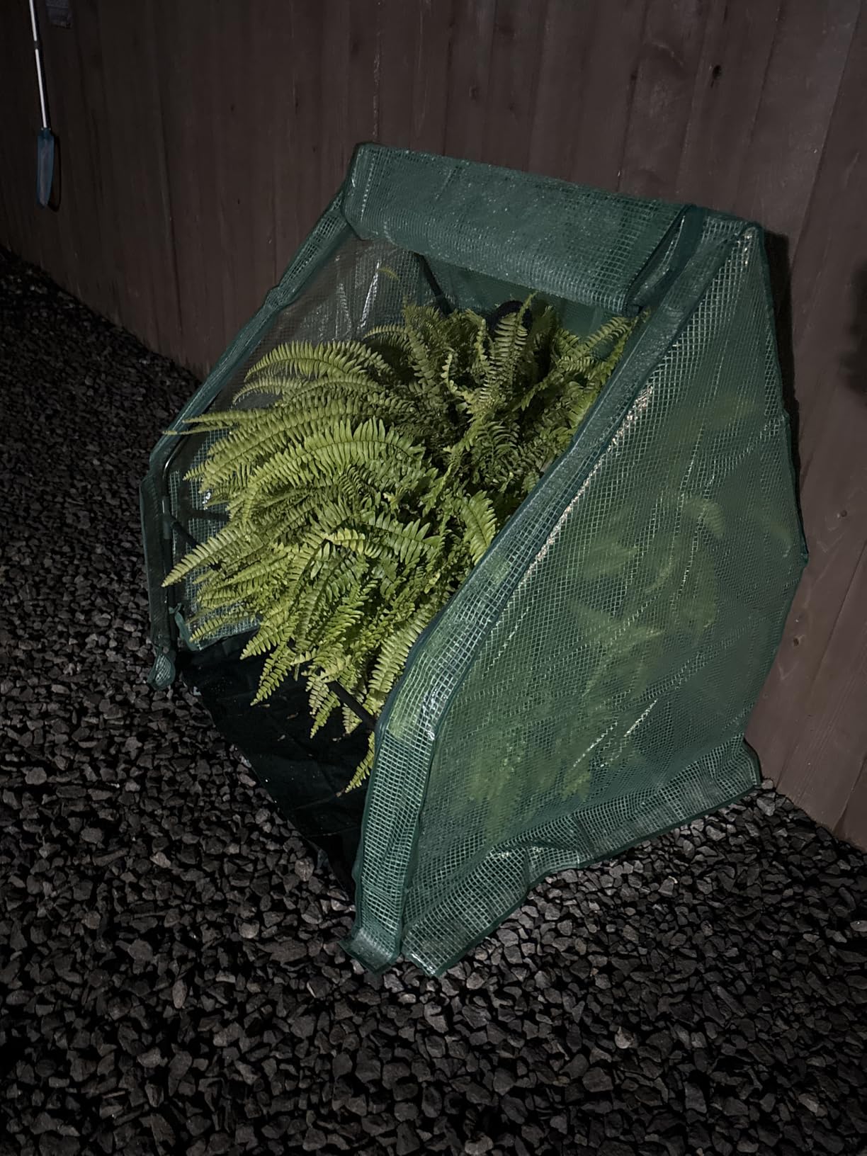 U'Artlines Portable Mini Greenhouse Small Green House with Waterproof Pad 36x18x33 Inch Plant Cover Tent for Garden Small Plants Indoor Outdoor, Green PE customer photo 2
