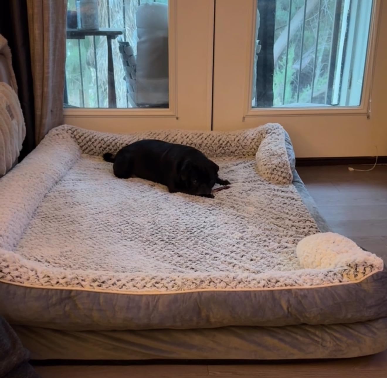 LEXTRO Orthopedic Dog Beds for Large Dogs, Waterproof Dog Bed, Egg Crate Foam Bed for Large Dogs, Big Pet Bed with Washable Removable Waterproof Pillow Cover and Anti-Slip Bottom, Grey customer photo 2