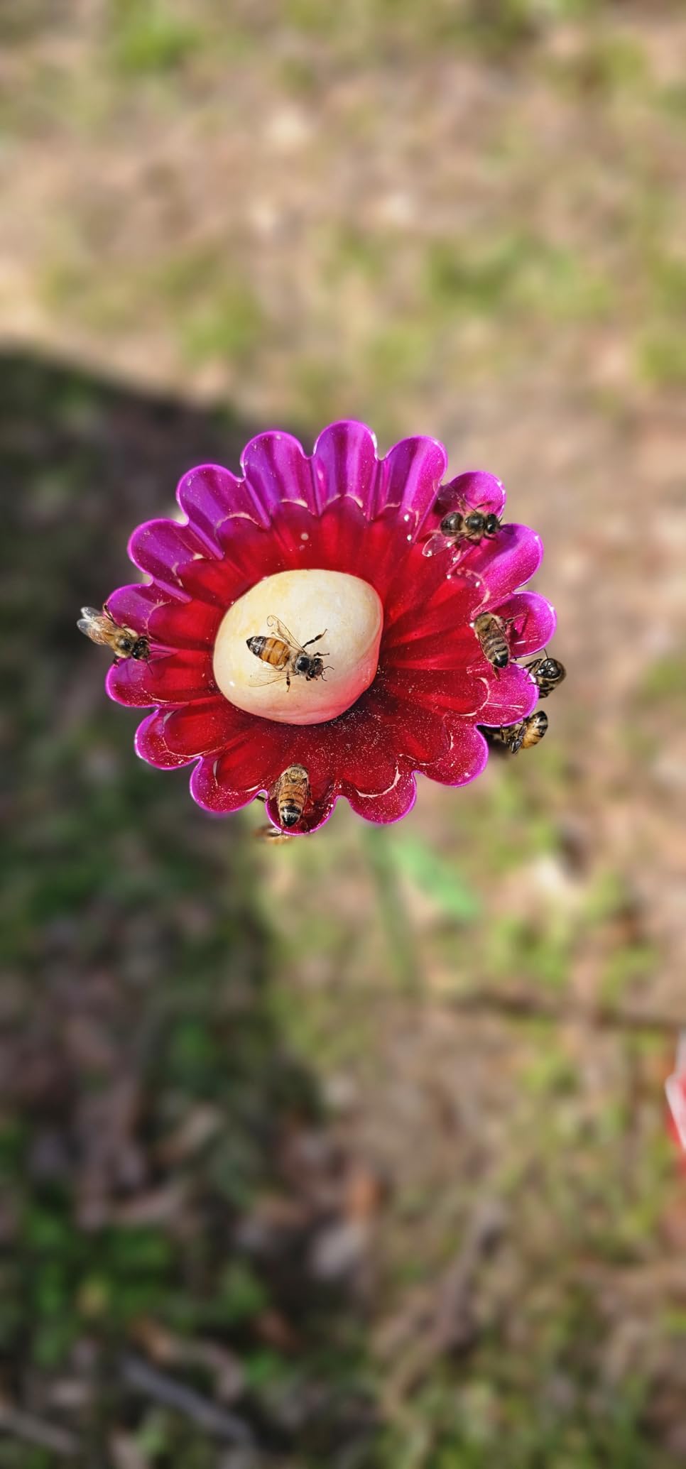 4 Pack Bee Watering Station, Bee Bath for Garden Metal Bee Water Feeder with Flower Design, Colorful Butterfly Bee Bath Bowl for Outdoor Garden Yard Decor (Red,Green,Blue,Yellow) customer photo 1