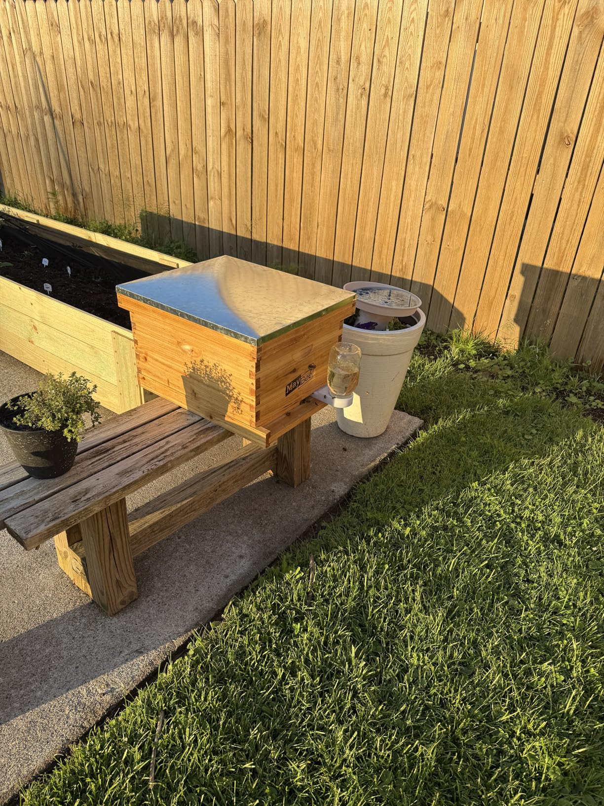 MayBee 8-Frame Beehive Starter Kit, Bee Hive Kit Dipped in 100% Beeswax, Bee Hives Boxes Starter Kit Includes Beekeeping Supplies Tool Kit and Bee Suit customer photo 1