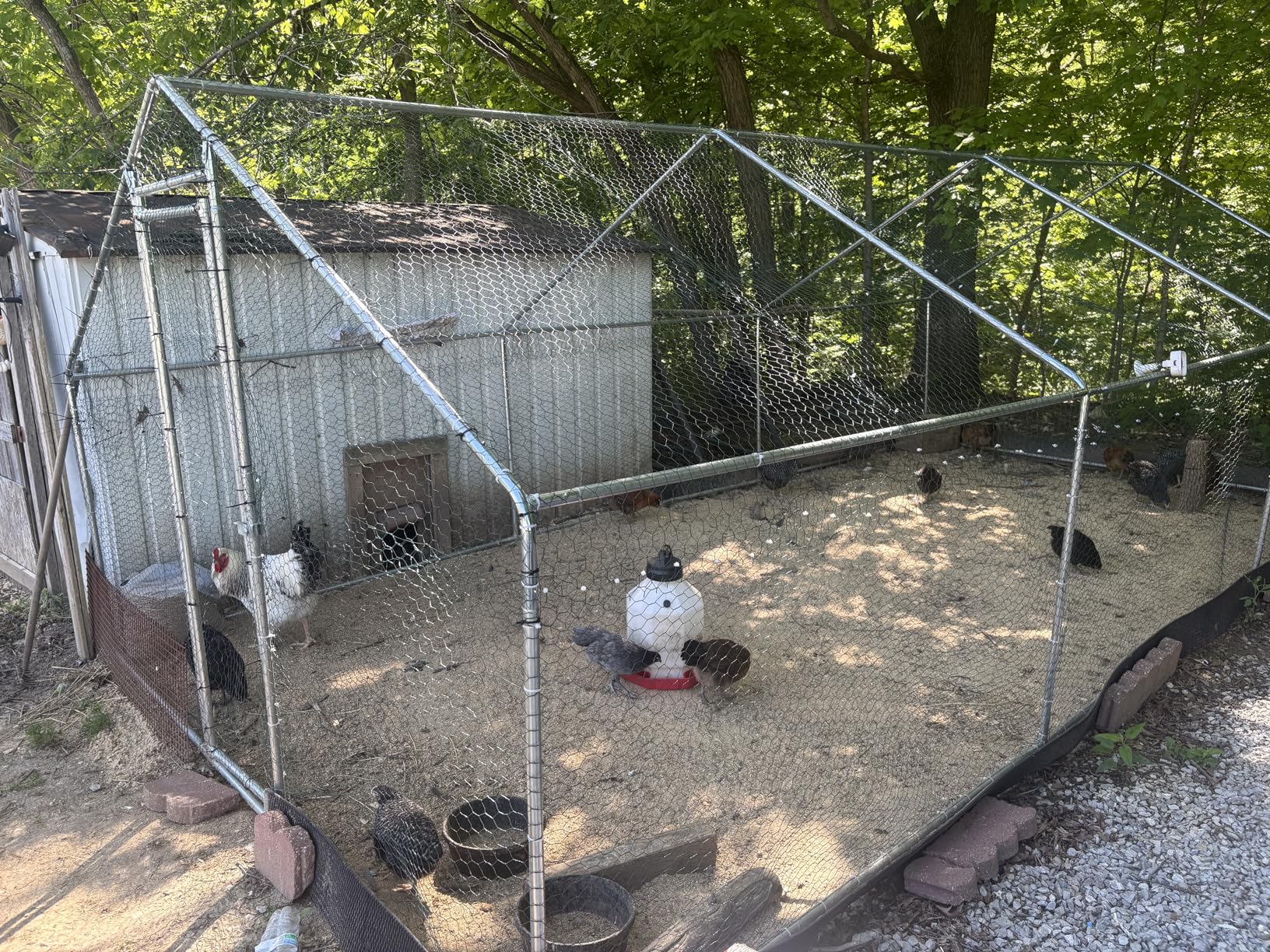 HEYTOWN Large Metal Chicken Coop Chicken Pen Walk-in Poultry Cage with Water-Resident and Anti-UV Cover Chicken Runs for Yard with Cover Duck Rabbit Dog House Outdoor customer photo 2