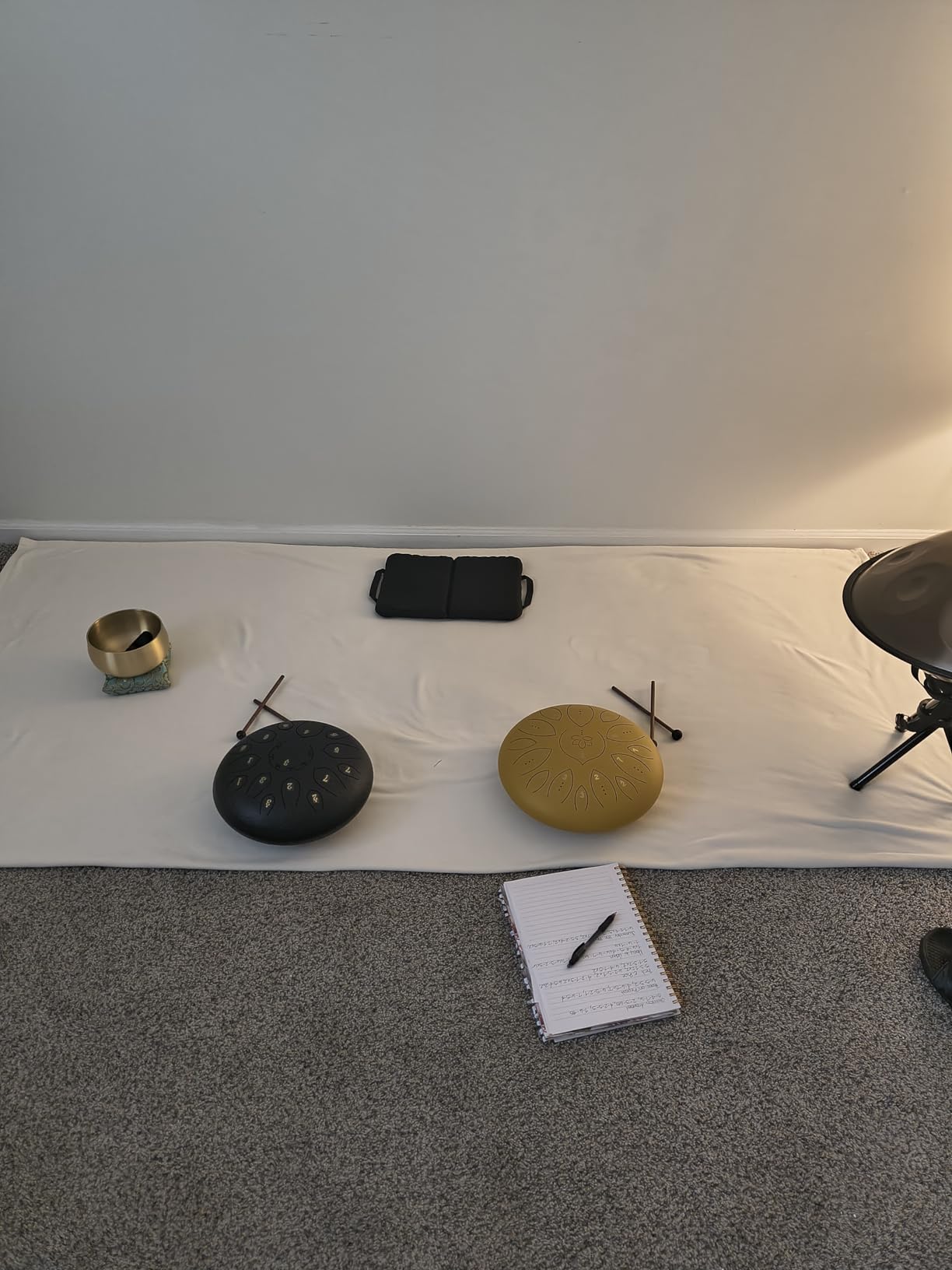 Steel Tongue Drum - 14 Inch 15 Note Tongue Drum - Hand Pan Drum with Music Book, Handpan Mallets and Carry Bag, C Major, Malachite Green customer photo 1