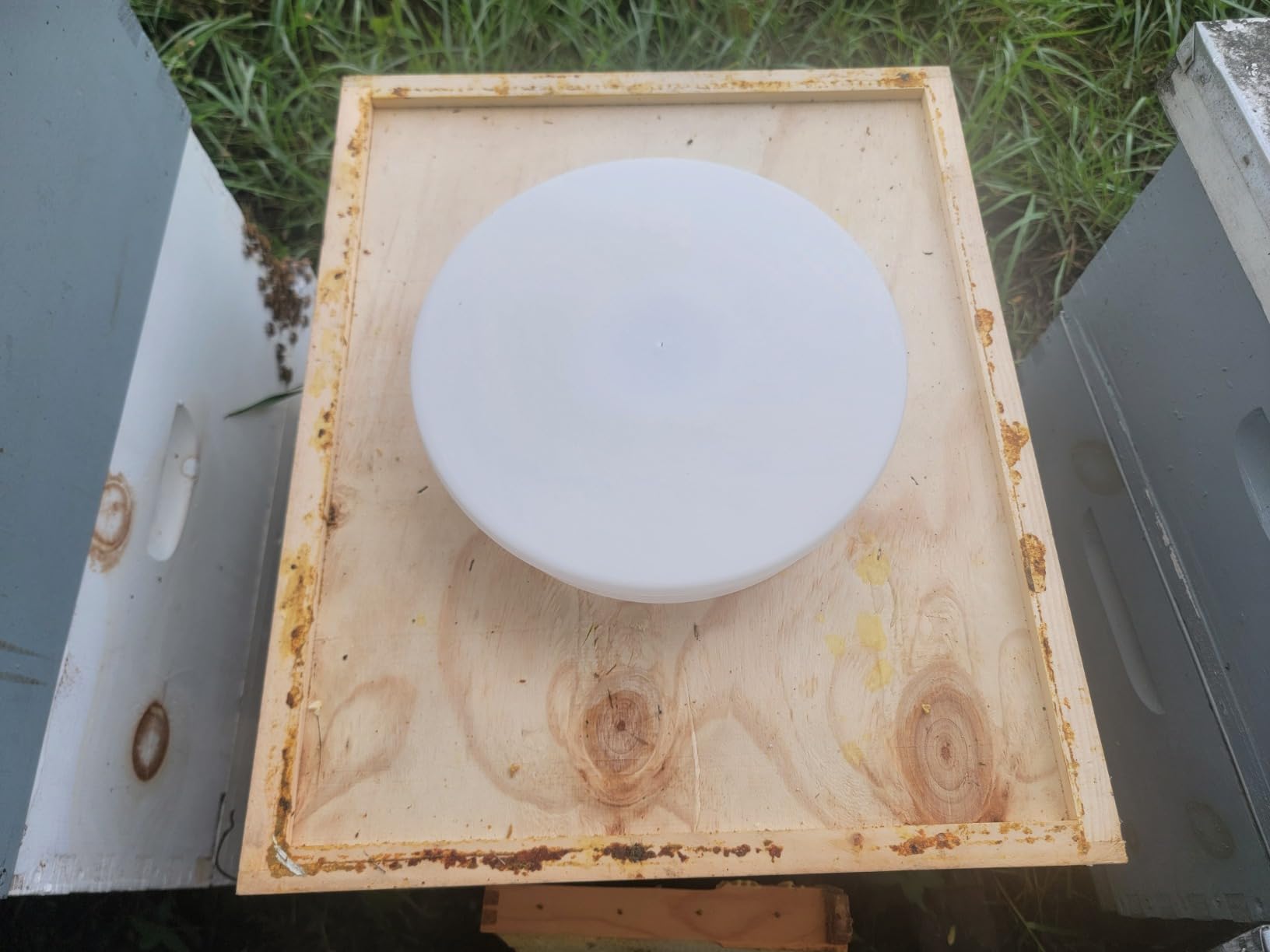 Upgraded Rapid Bee Top Feeder with Anti-Drowning Sponge Rings, Round Hive Top Feeders for 8-Frame and 10-Frame Hives (2 Pack) customer photo 2