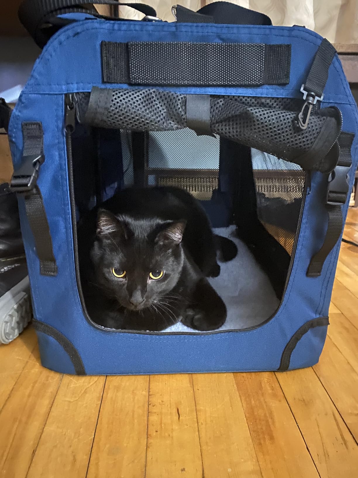 Extra Large Cat Carrier for 2 Cats, Collapsible Soft Sided Pet XL Crate for Large Mudium Big Cat 20lbs+, Car Travel Portable Bag for Long Trips Ride 24