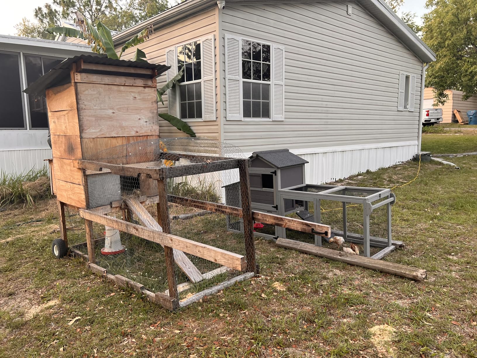Mobile Chicken Coop, Large All-Steel Frame Hen House for 6-8 Chickens Poultry Cage with Nesting Box customer photo 1