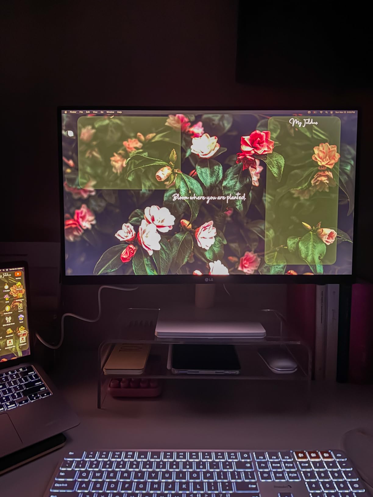 LG 27US500-W Ultrafine Monitor 27-Inch 4K UHD (3840x2160) HDR10 IPS Borderless Design Reader Mode Flicker Safe Switch App HDMI DisplayPort - White customer photo 1