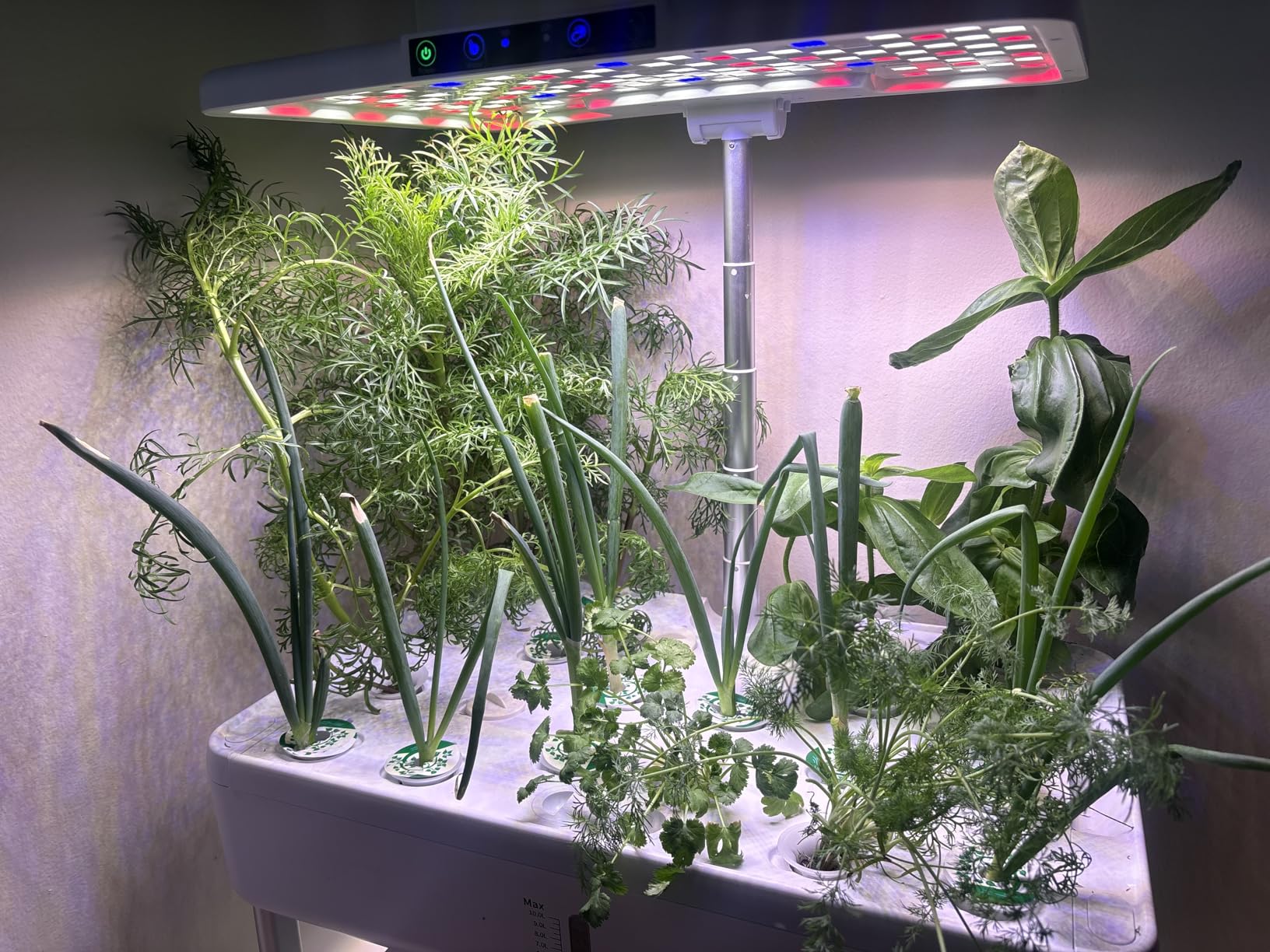 Ahopegarden Hydroponics Growing System Indoor Garden, 44 Pods Plant Herb Garden Germination Kit with LED Grow Light, 20L Double-Layer Large Capacity Hydrophonic Planter Grower for Vegetable Fruit customer photo 1