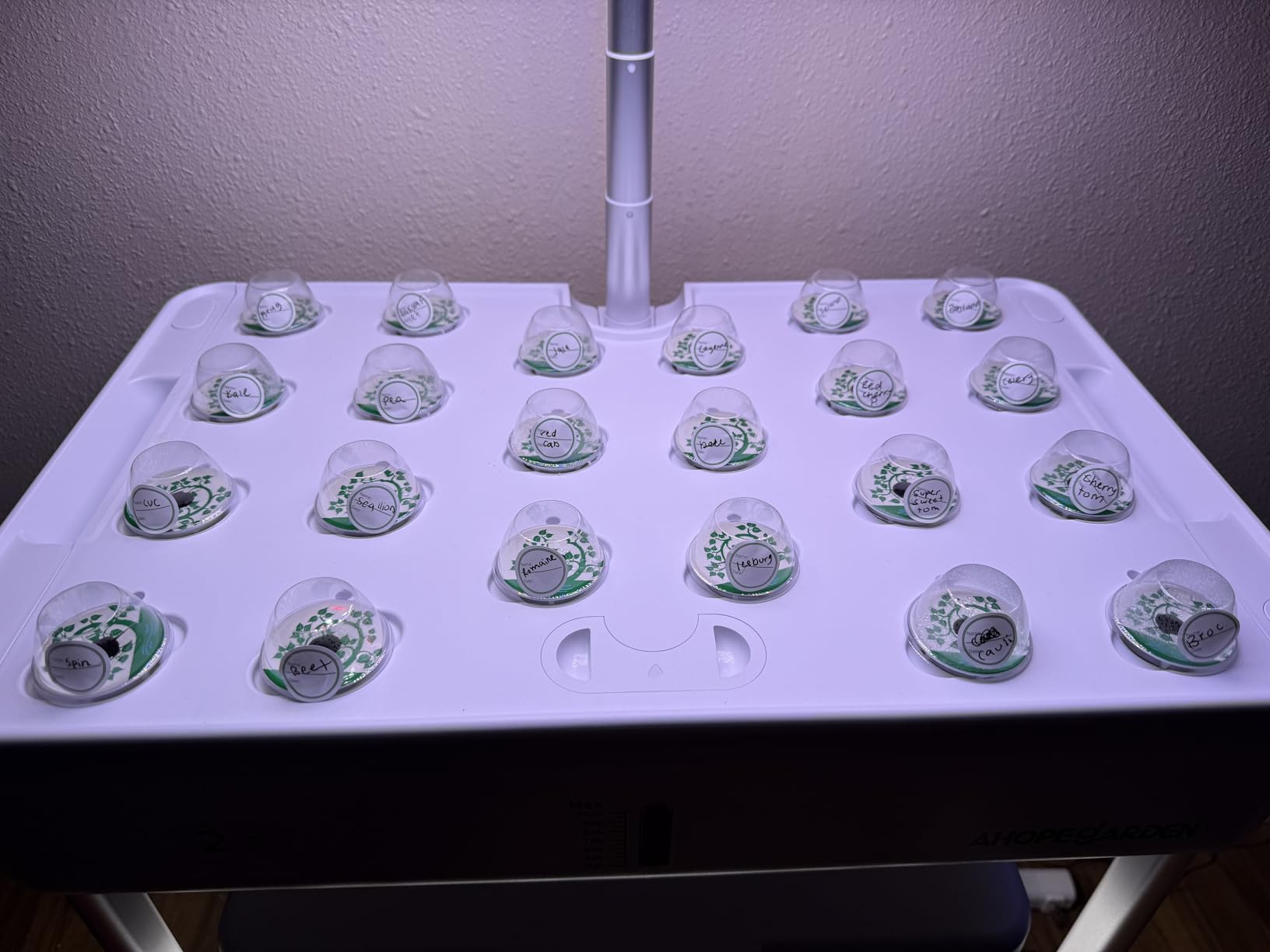 Ahopegarden Hydroponics Growing System Indoor Garden, 44 Pods Plant Herb Garden Germination Kit with LED Grow Light, 20L Double-Layer Large Capacity Hydrophonic Planter Grower for Vegetable Fruit customer photo 2