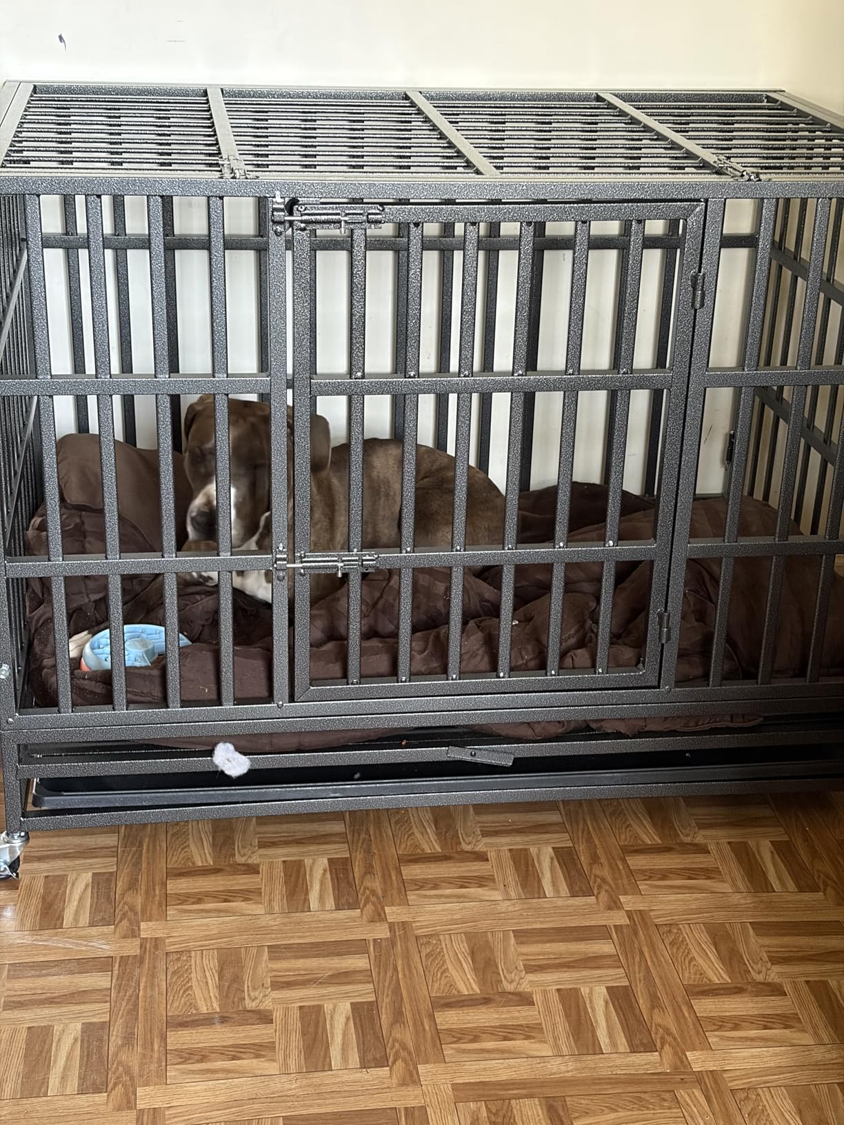Oranland 48 inch Heavy Duty Indestructible Dog Crate, 2025 New Upgraded Reinforced Baseplate for Large Dogs, XL Dog Crate for High Anxiety Dogs/Max Load Capacity 250lbs/Double Door with Wheels customer photo 2