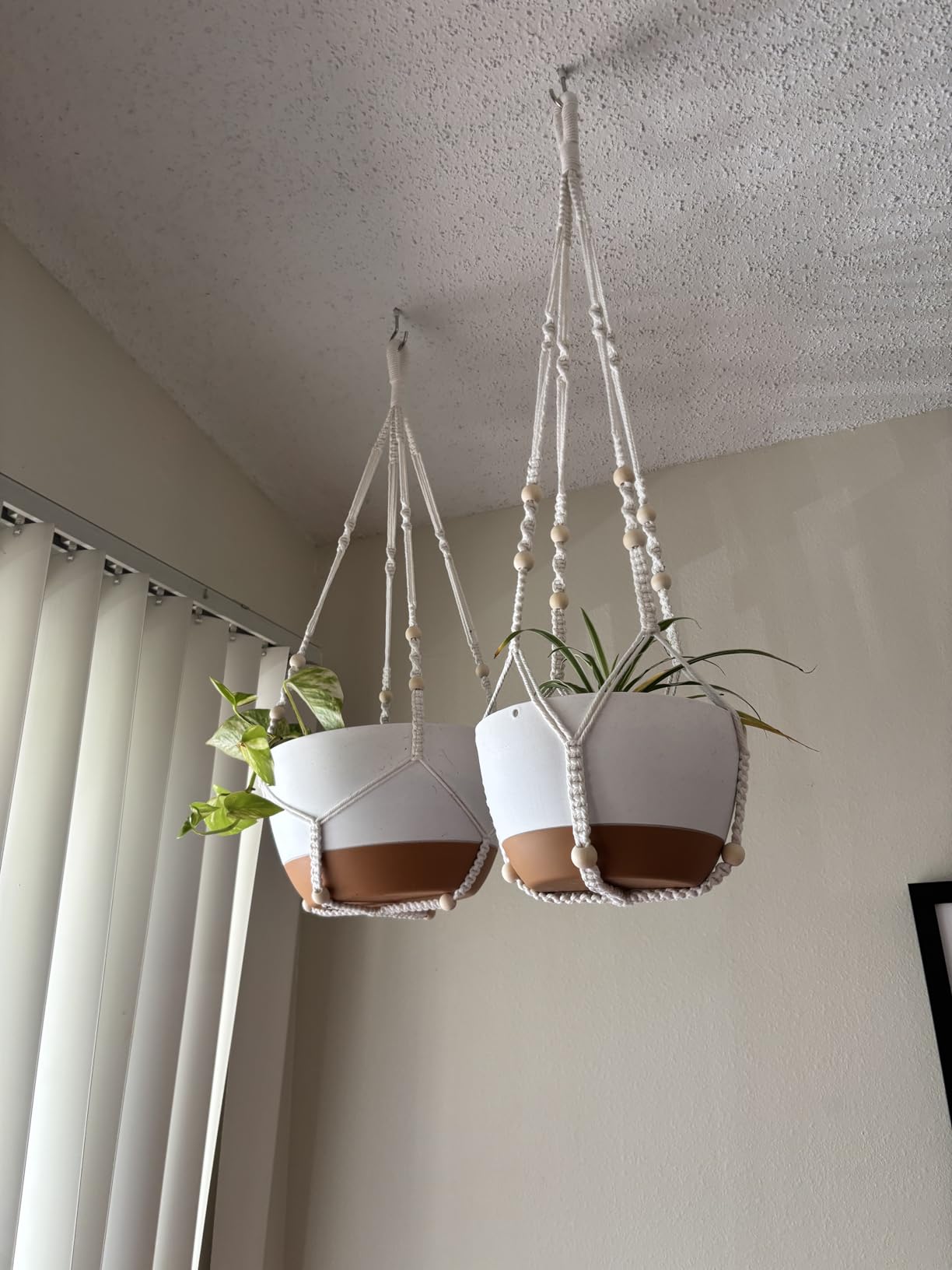 Set of 2-10 Inch Hanging Planters for Indoor Plants with Self-Watering Includes Hanging Pots for Plants, Outdoor Hanging Plant Pot with Drainage, and 2 Types of Hanging Baskets Hangers (White, 10inch) customer photo 2