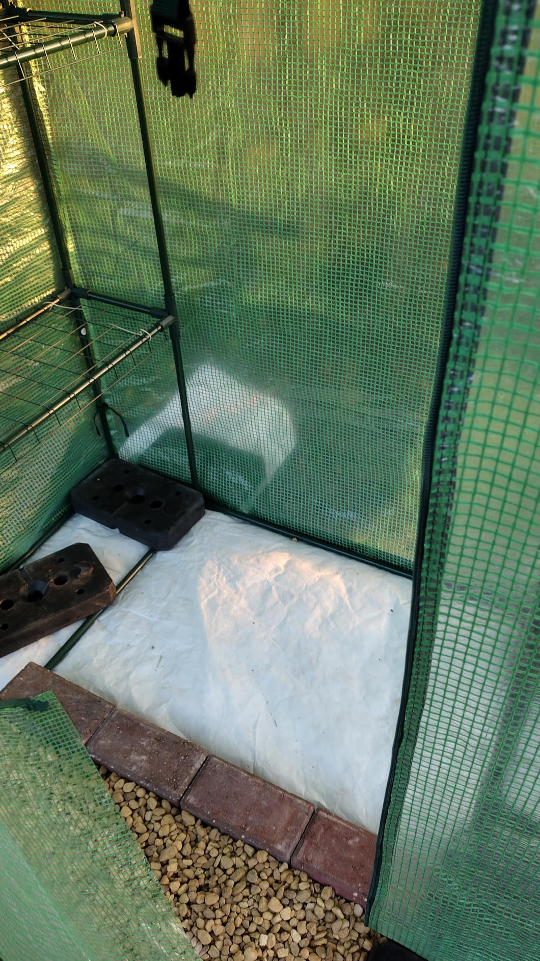 VEVOR Walk-in Tunnel Greenhouse, 19.4x9.7x6.5 ft Hoop House Greenhouse Tunnel, Plant Hot House with Galvanized Steel Frame, White PE Cover, Roll-up Zipper Door and 12 Windows for Outdoor customer photo 2