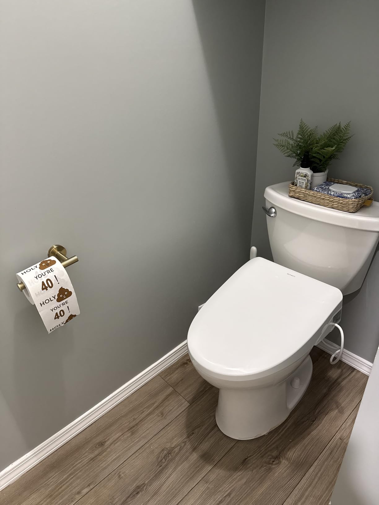 Electric Bidet Toilet Seat with Instant Warm Bidet Wash & Warm Air Dryer, Self-Cleaning Stainless Steel Nozzle, Soft Close Lid, Elongated customer photo 1