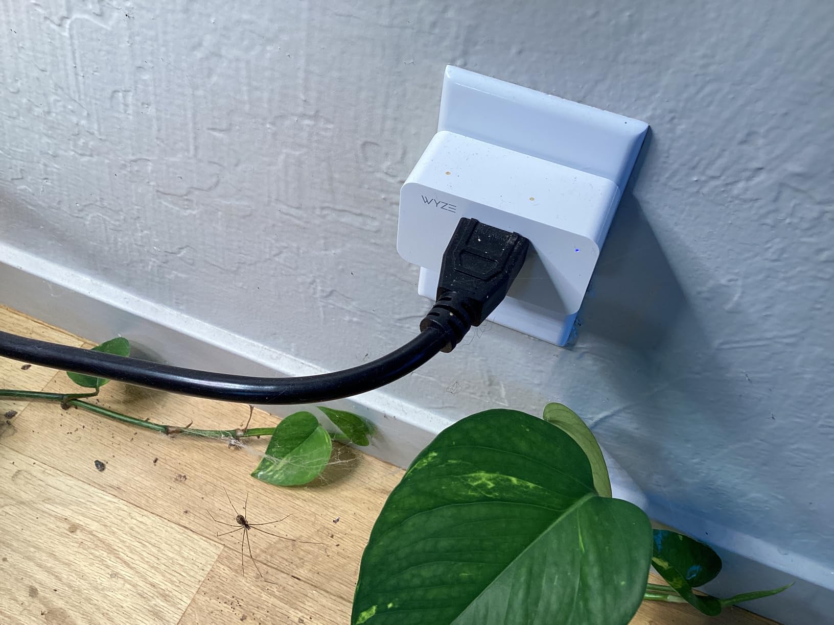 Smart Plug by Wyze Lifestyle, 2.4GHz Smart Home Wi-Fi Plug Outlet Compatible with Alexa, Google Assistant, IFTTT, 15 A, Remote Control, No Hub Required, 2-Pack, Certified for Humans customer photo 1