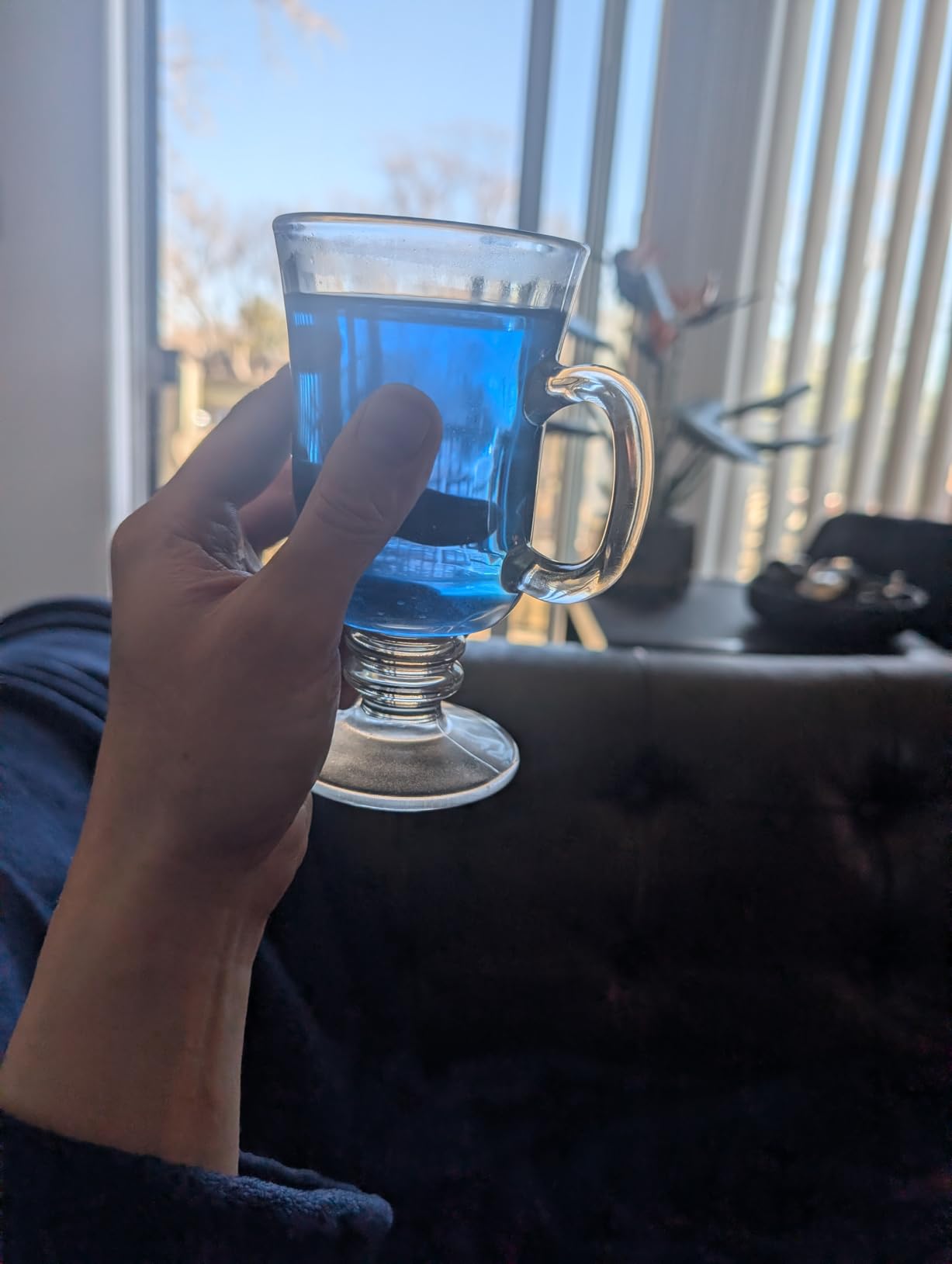 Butterfly pea flower tea loose leaf (375+ Cups) [ 4.4 Ounces Oz] Dried butterfly pea flowers blue tea customer photo 1