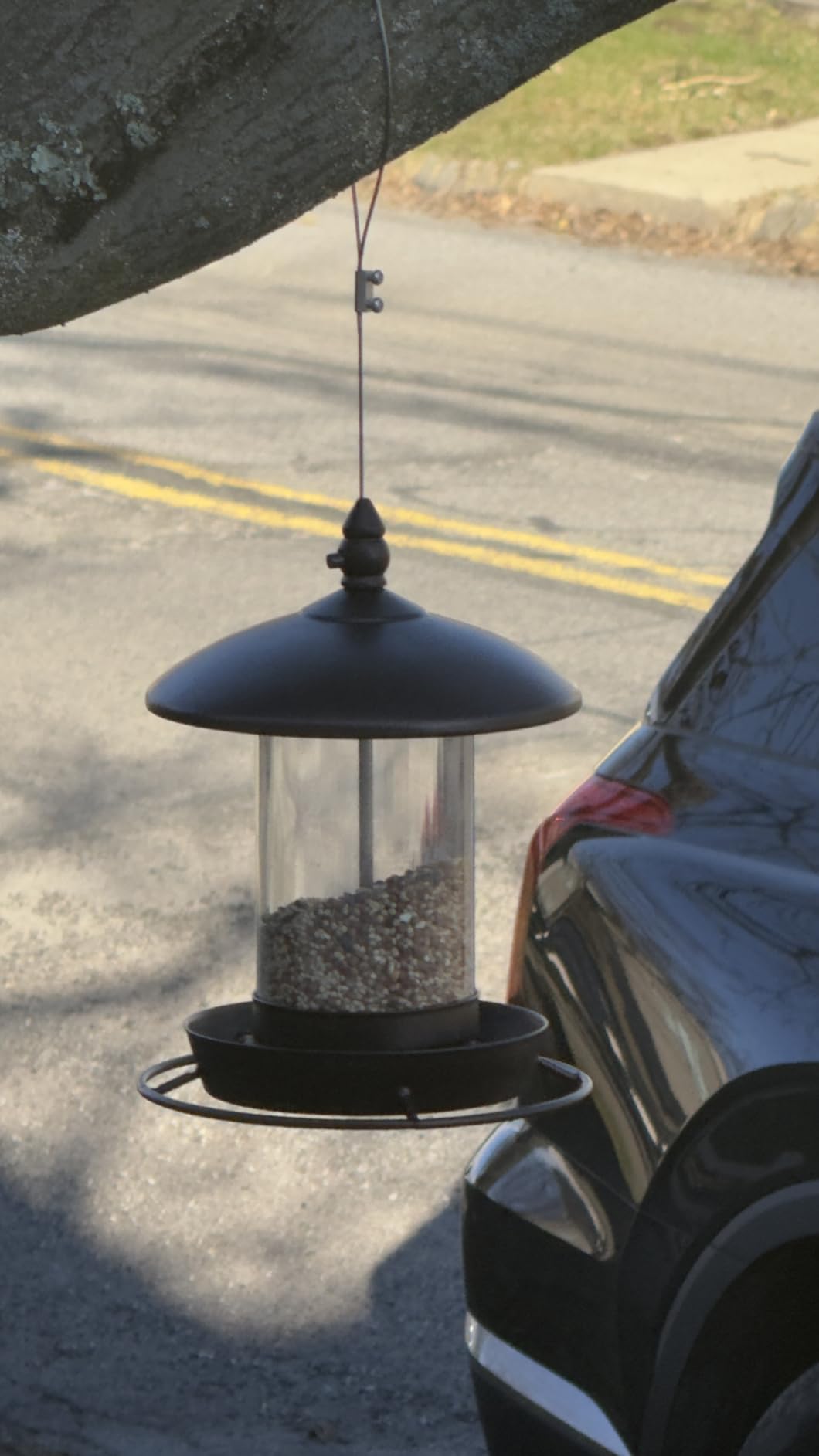 Metal Roof Bird Feeder - Chew Proof for Outdoor Hanging Wild Bird Seeds, Bronze customer photo 1