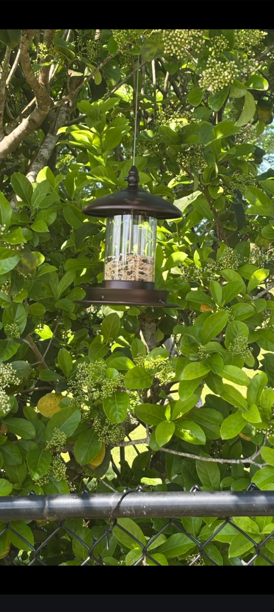 Metal Roof Bird Feeder - Chew Proof for Outdoor Hanging Wild Bird Seeds, Bronze customer photo 2