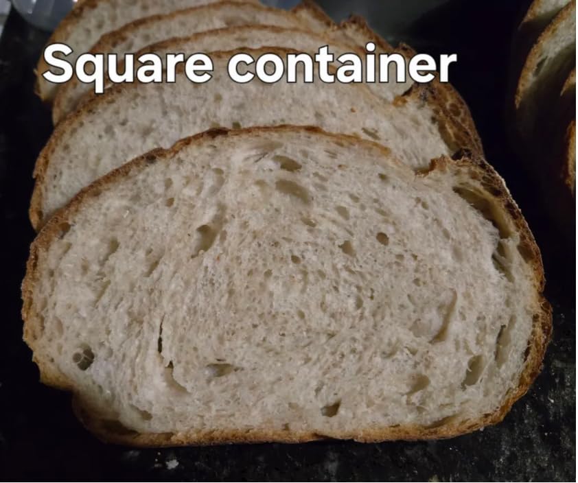Brod & Taylor Proofing Container With 6L Capacity, Fits Up To 3000 Grams of Dough - Dough Rising Box for Bread, Sourdough & Pizza (Dishwasher Safe, BPA-Free) customer photo 1