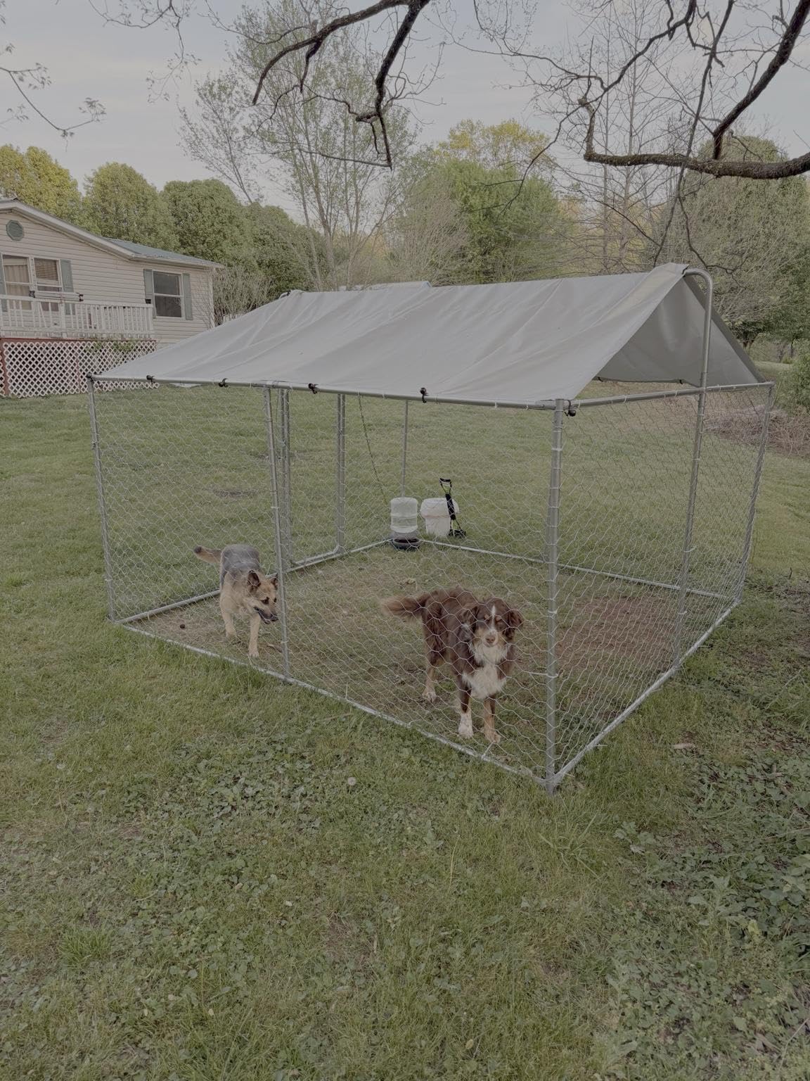 7.8'x7.8' Large Outdoor Dog Kennel, Heavy Duty Dog Enclosure with Roof, Weather Resistant Cover and Security Lock(93