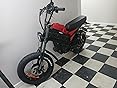 FREESKY 4000W Dual Motor Electric Dirt Bike for Adult, 2880WH 60AH Battery Up to 40MPH & 200Mile Long Range Moped Ebike, 20 inch Fat Tires All Terrain Mountain E bike, Full Suspension AWD Electric Motorcycle customer photo 1