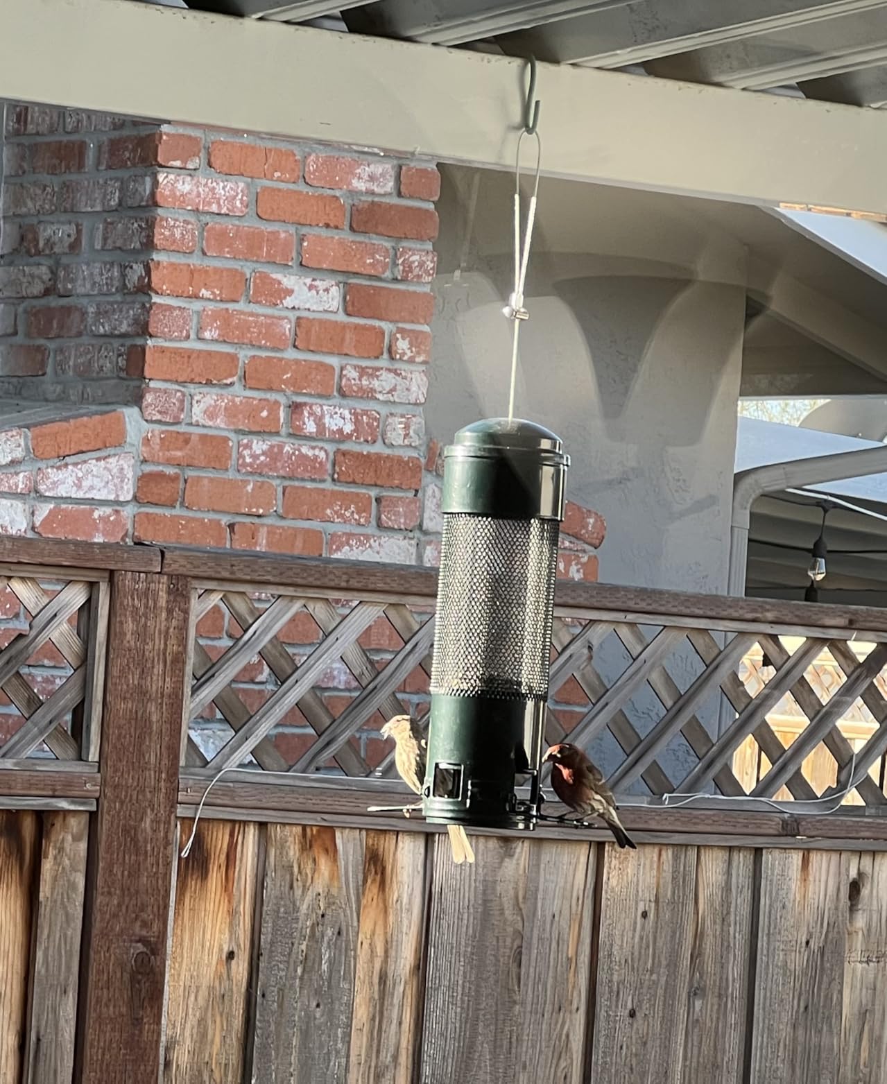LCSEVEN Bird Feeders for Outdoors Squirrel Proof with Weight-Activated Perches, Hanging Bird Feeder for Outside, Metal Feeder for Wild Cardinal, Finch, Blue Jay, Chickadee, 3LB Seed Capacity, Green customer photo 2