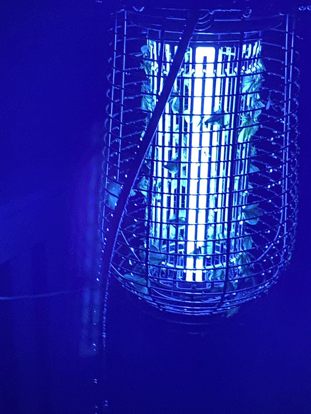 Bug Zapper Indoor & Outdoor, 4200V Electric Mosquito Zapper, 10 Years Lifespan, 6.5ft Power Cord, Waterproof, Fly Trap Mosquito Trap, Fly Killer Fly Zapper for Home, Patio, Kitchen, Backyard, Camping customer photo 2