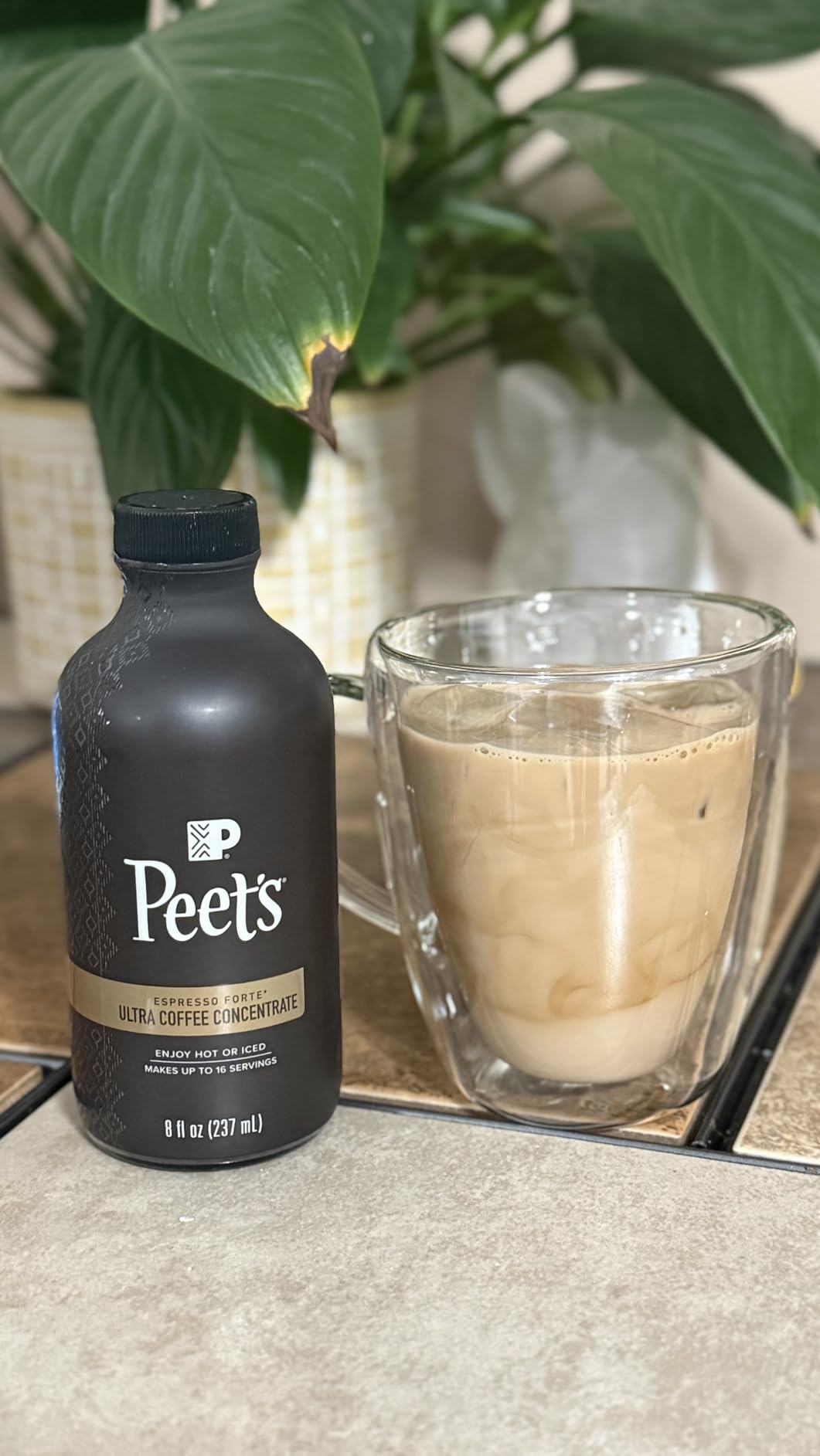 Peet's Coffee, Ultra Coffee Concentrate, Instant Hot, Cold Brew, or Iced Coffee, 100% Arabica Coffee - Espresso Forte, 8 Fluid Ounce Bottle (16 Servings) customer photo 2