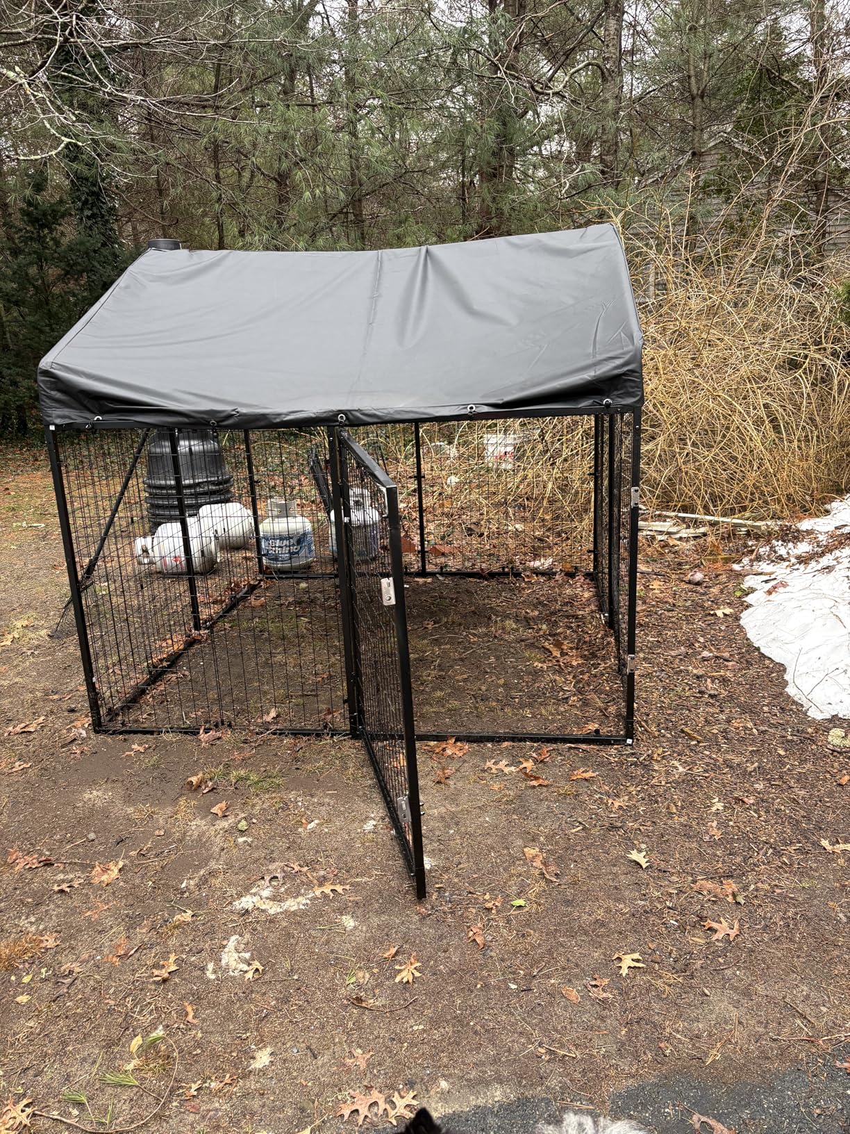Petony Large Outdoor Dog Enclosure,Heavy Duty Dog Cage with Roof,Galvanized Steel Dog Kennel Fence with Double Safety Locks(6.56'x 6.56') customer photo 1