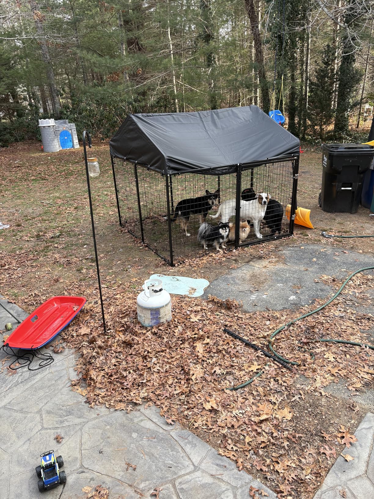 Petony Large Outdoor Dog Enclosure,Heavy Duty Dog Cage with Roof,Galvanized Steel Dog Kennel Fence with Double Safety Locks(6.56'x 6.56') customer photo 2