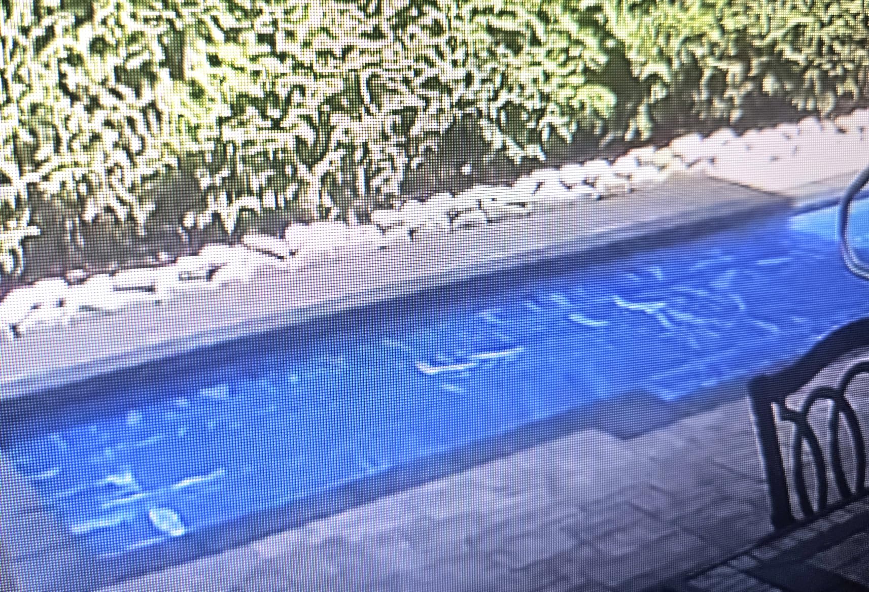VINGLI 16Mil Solar Pool Cover for Inground Pools, Heat Retaining Solar Covers, 16x32FT Rectangle Solar Pool Cover, Solar Blanket for Inground Pool, Blue (16' x 32') customer photo 1
