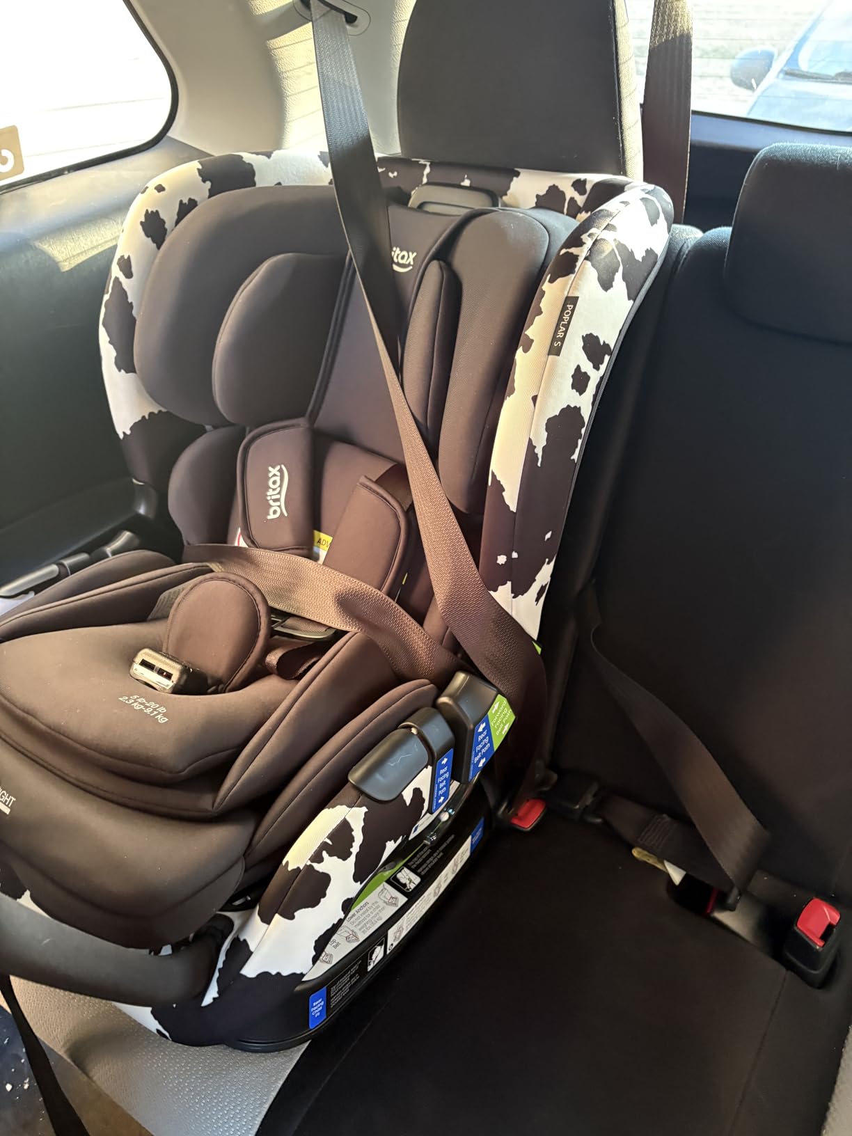 Britax Poplar S Convertible Car Seat, 2-in-1 Car Seat Extended Rear Facing, 17-inch Slim Car Seat Design with Fast & Easy ClickTight Installation, Anti-Rebound Bar & SafeWash Fabrics - Cowmooflage customer photo 2