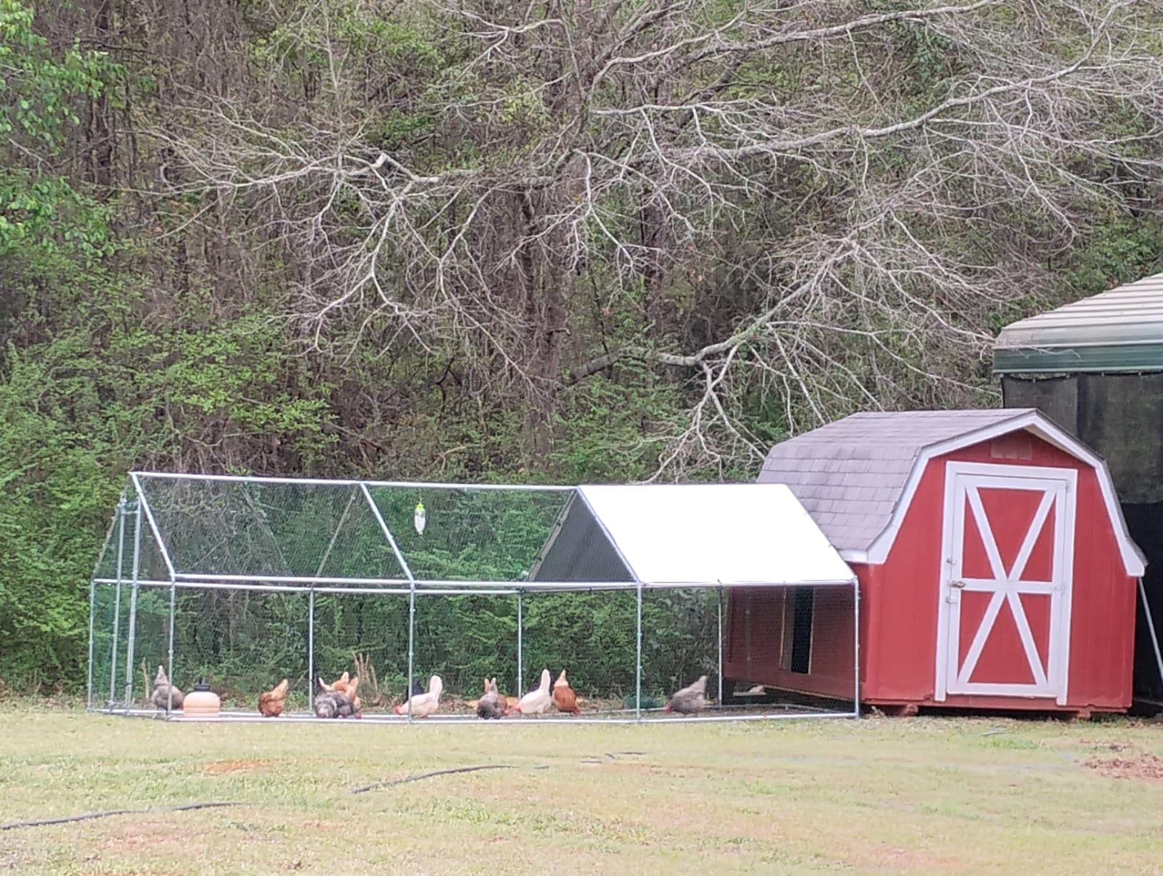 VEVOR Metal Chicken Coop, 6.56x6.56x6.56ft Large Walk-in Chicken Runs with Cover, Spire Roof Hen House Enclosure with Security Lock, Outdoor Duck Rabbit Cage Poultry Pen for Backyard, Farm, Yard customer photo 1