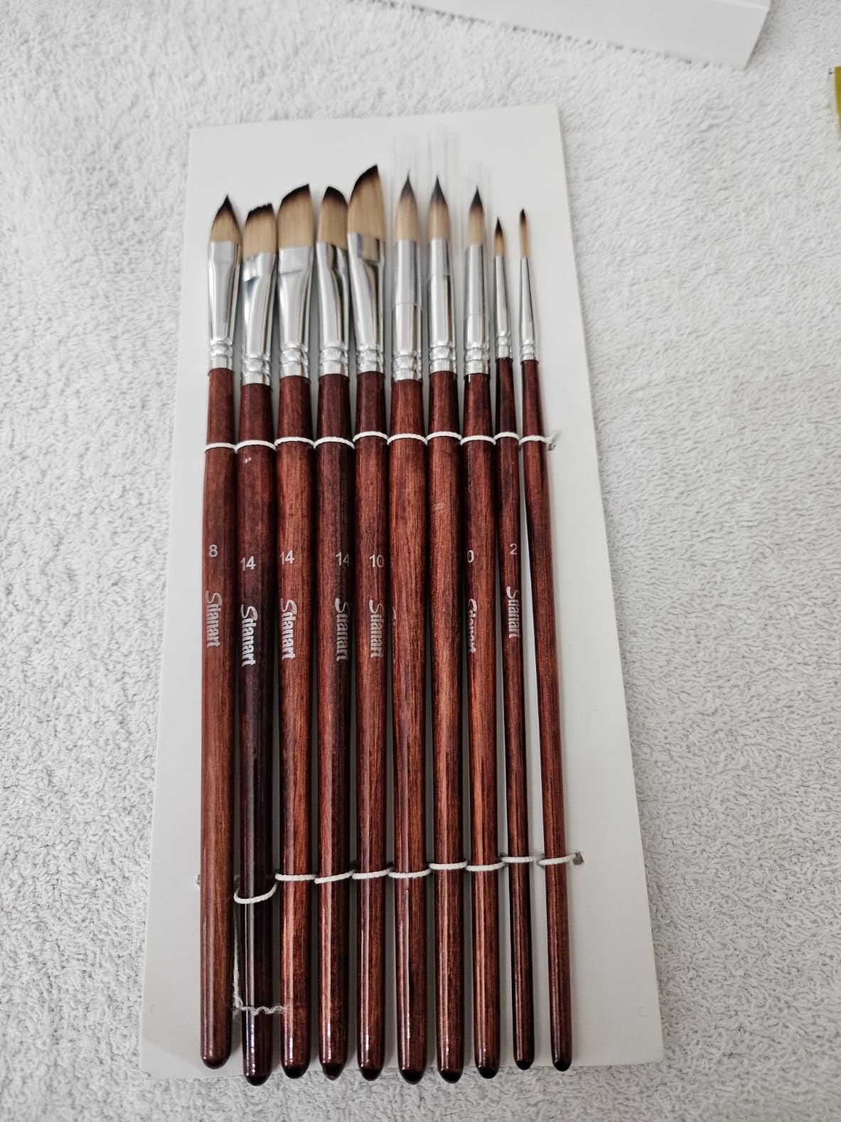 Watercolor Brushes Professional, 10 PCS Artist Paint Brush Shapes Including Pointed Rounds, Flats, Filbert, Cat's Tongue Oval Wash, Dagger, Suitable for Acrylics Water Color Oil Gouache Ink customer photo 2