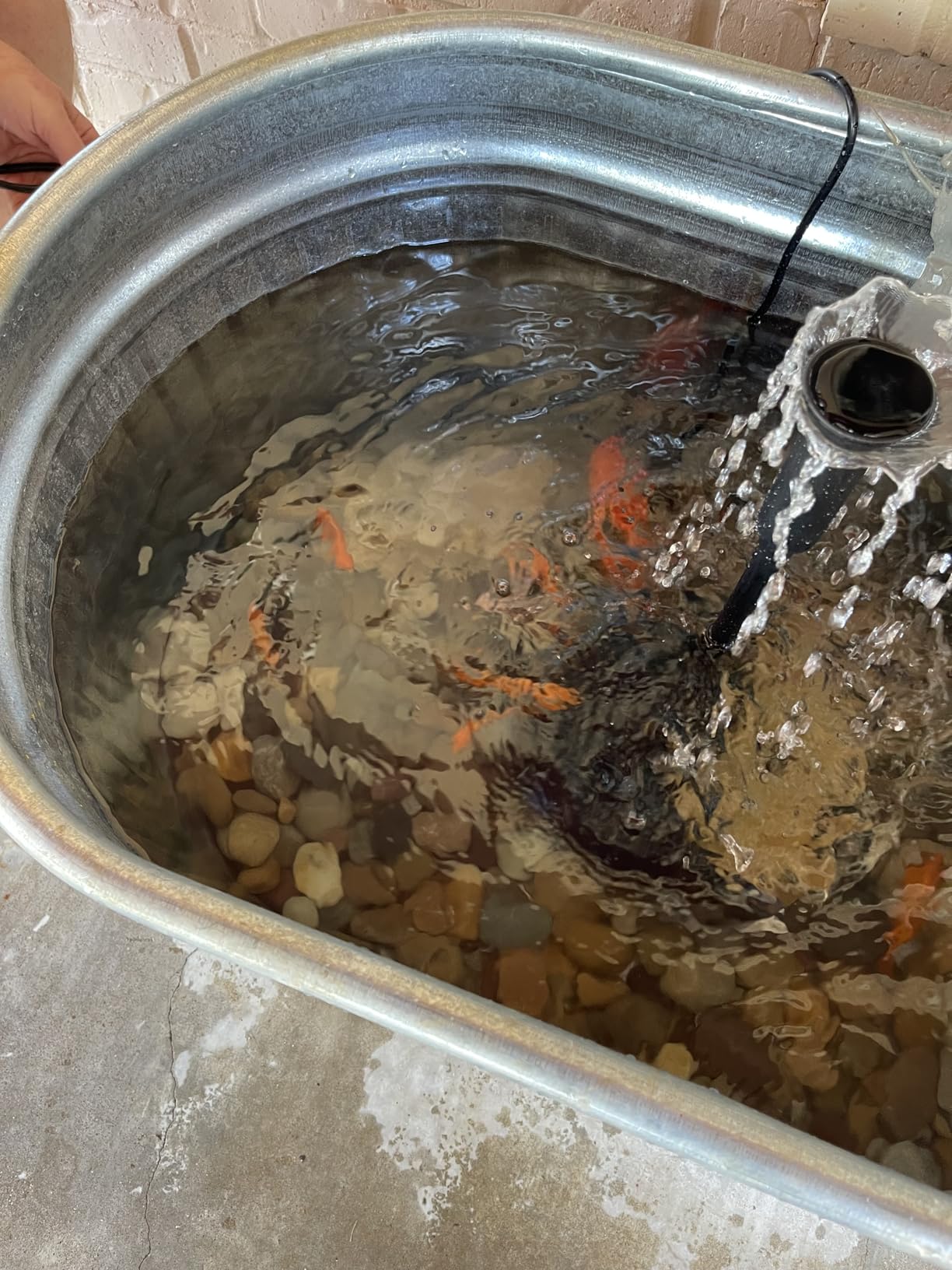AquaMiracle All-in-One Koi Pond Filters for Outdoor Ponds 200-350 Gal with 400GPH Water Pump customer photo 1