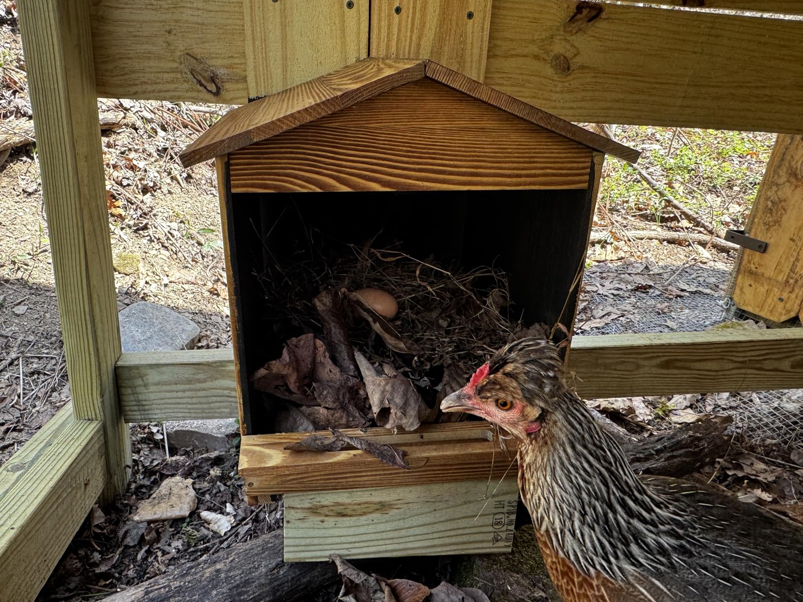 Chicken Nesting Box 3 Compartments - Wall Mount Wooden Egg Laying Nest Box customer photo 1
