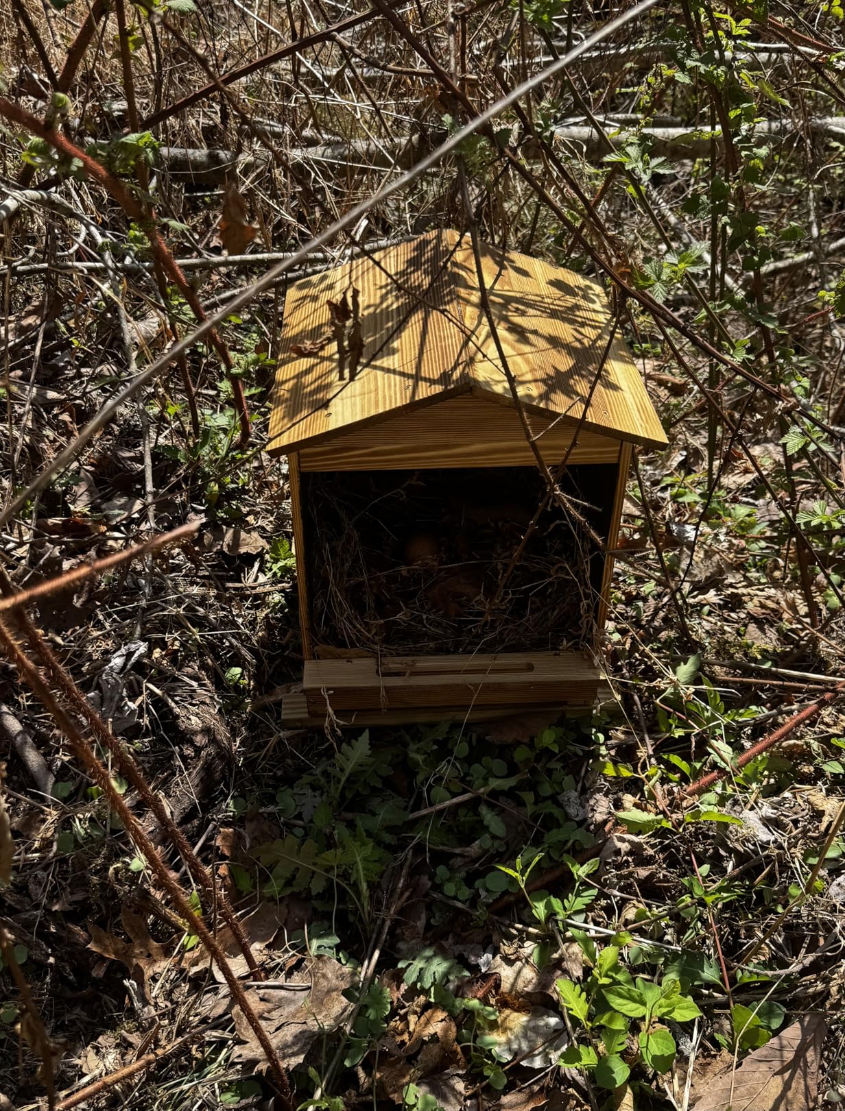 Chicken Nesting Box 3 Compartments - Wall Mount Wooden Egg Laying Nest Box customer photo 2
