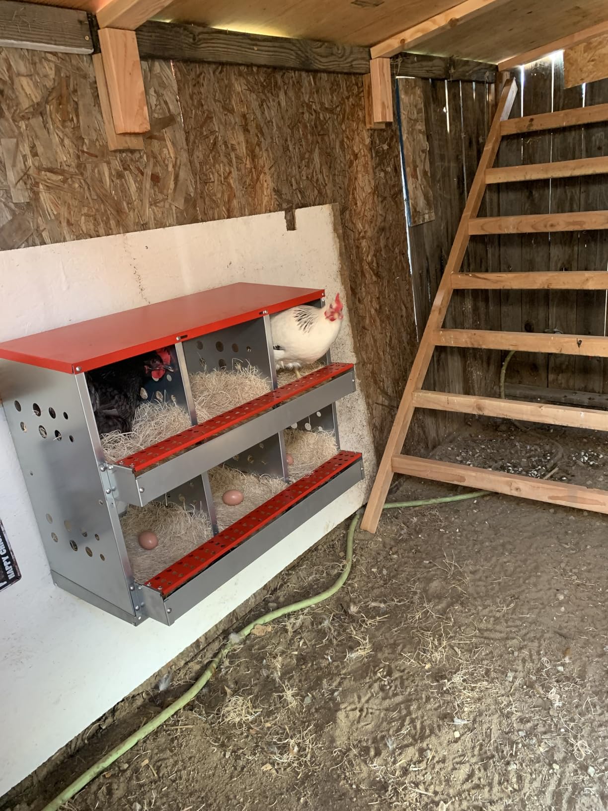 Chicken Nesting Boxes for Chicken Coop, 6 Compartments Wall-mountable Chicken Laying Boxes Easy Egg Collection with Ventilated Design customer photo 1