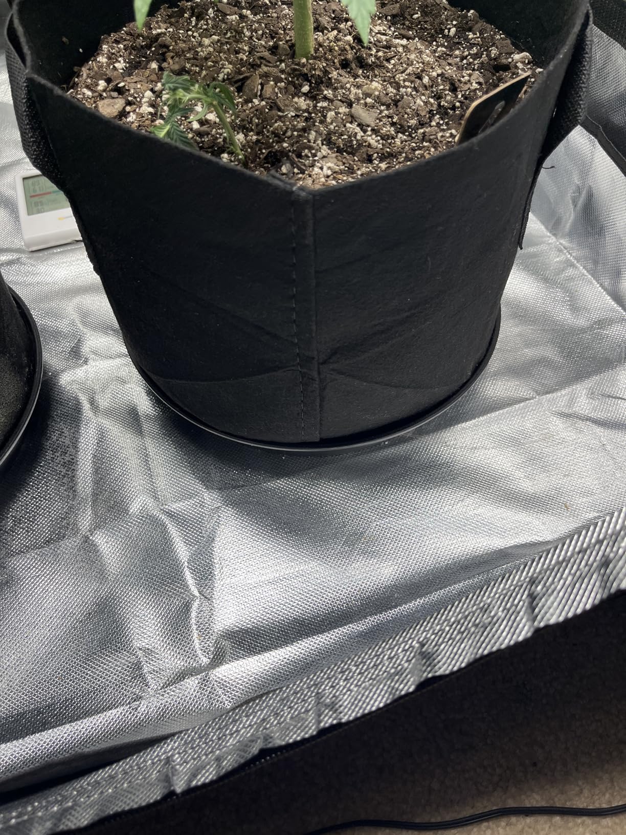 5 Pack 5 Gallon Grow Bags, Thickened Aeration Nonwoven Fabric Plant Pots with Handles, Heavy Duty 300G Garden Planting Bag for Tomato, Potato, Strawberry, Vegetable, Fruits and Flowers customer photo 2