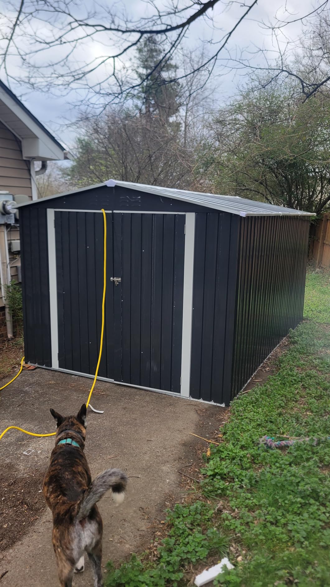 Polar Aurora 8 x 12 FT Outdoor Storage Shed, Metal Garden Shed with Updated Frame Structure, Tool Sheds for Backyard Garden Patio Lawn customer photo 1