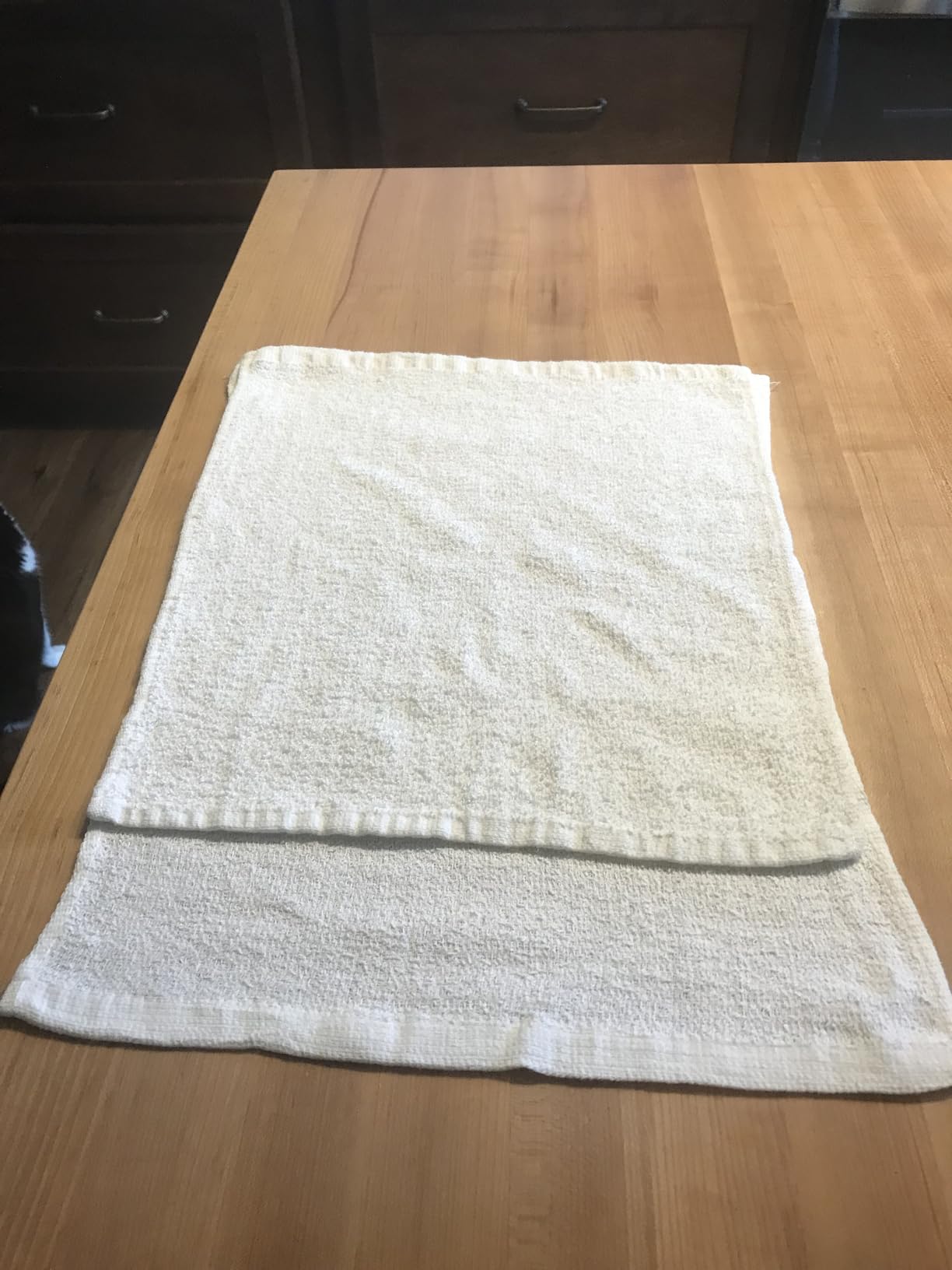 Terry Bar Mop Towels - 60 Pack (14