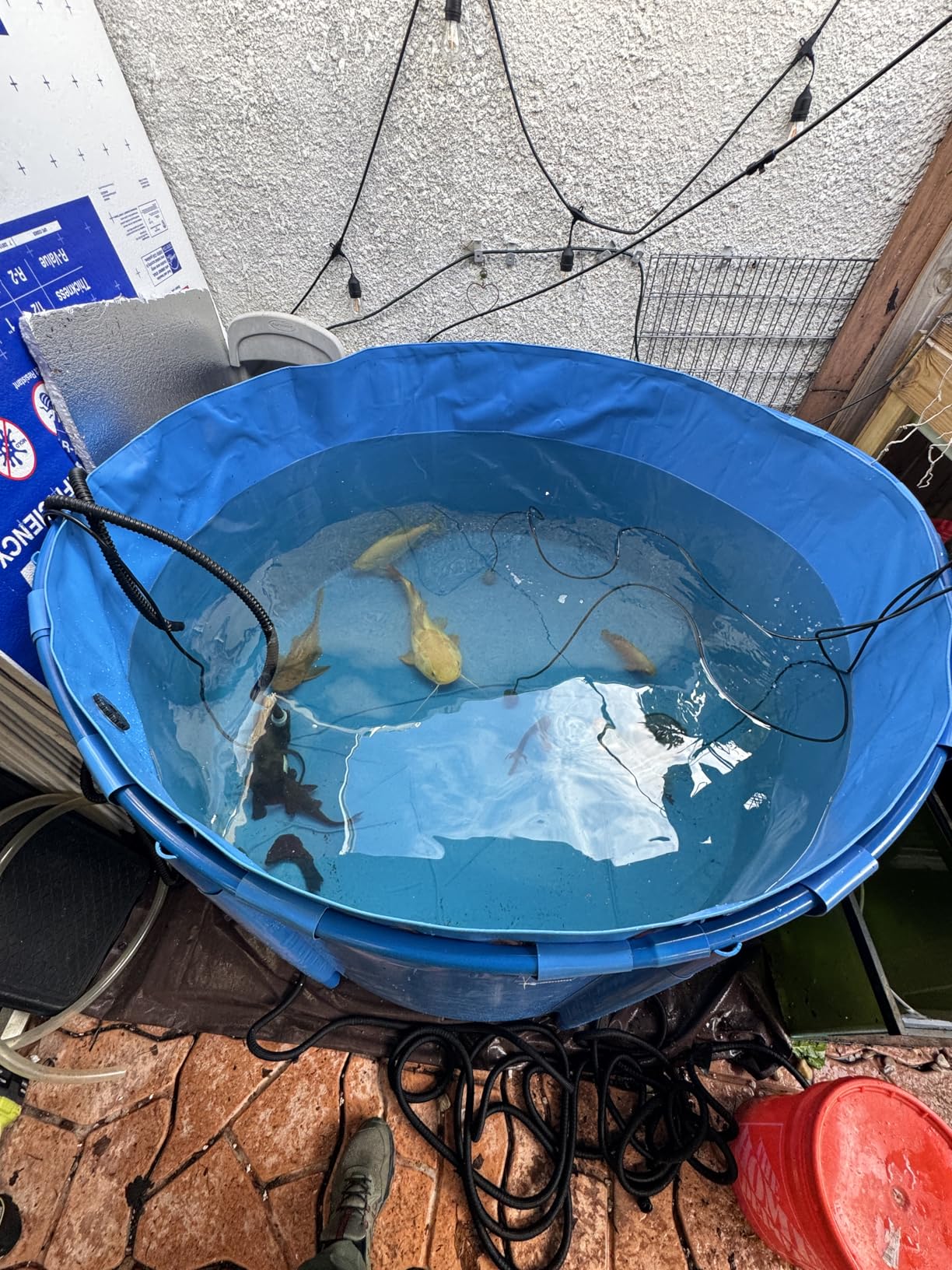 VEVOR Canvas Fish Pond, 470 Gal Above Ground Fish Pond customer photo 2
