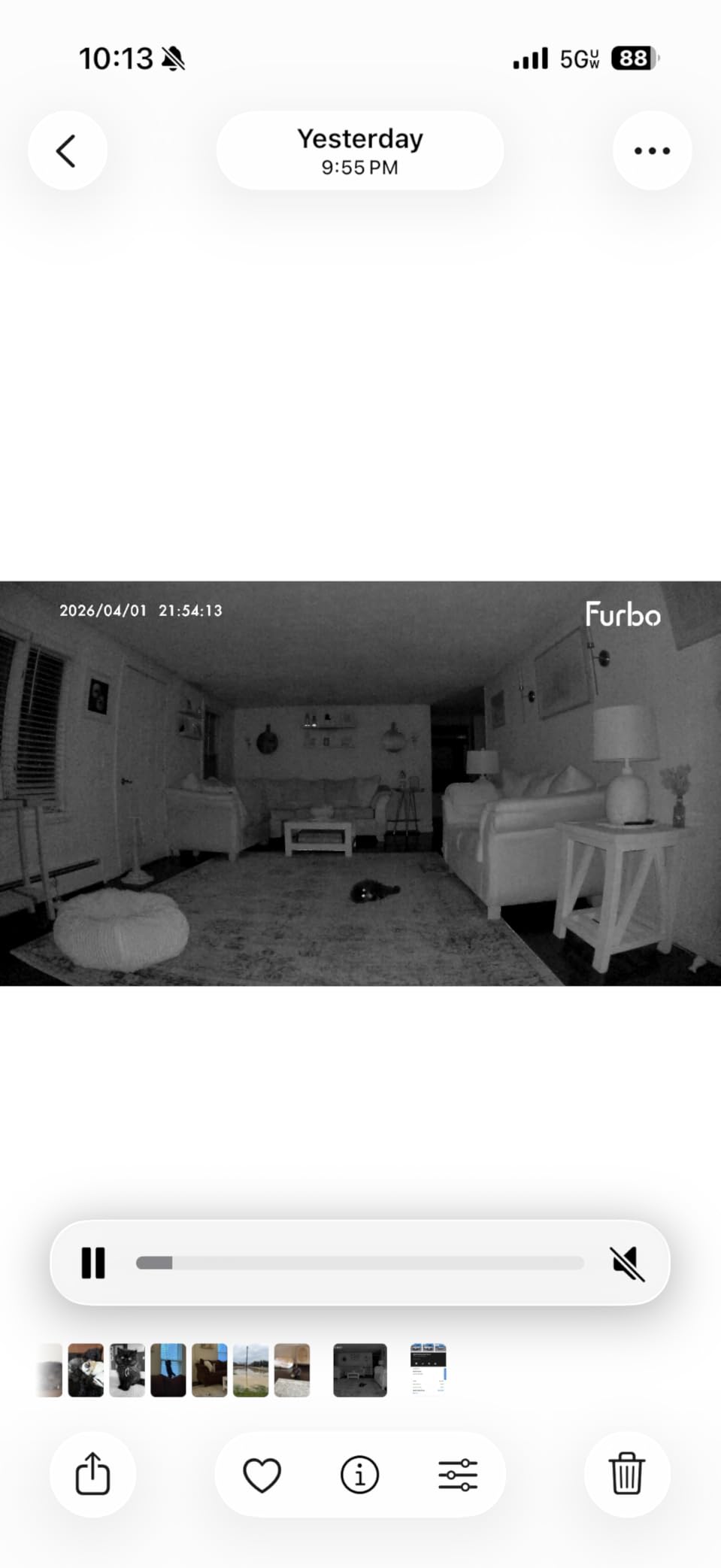 Furbo Mini 360° 2K QHD Pet Camera: Dog & Cat Rotating Treat Dispenser w/Phone App, Smart Indoor Cam with 2-Way Speaker & Night Vision. No Subscription Needed. Standard See, Talk, & Toss Features customer photo 2