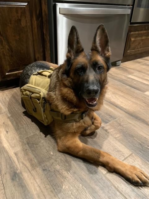 Himal Outdoors Dog Backpack & Saddle Bag, Tactical Hiking Backpack for Large Dogs with Side Pockets & Adjustable Strap customer photo 1