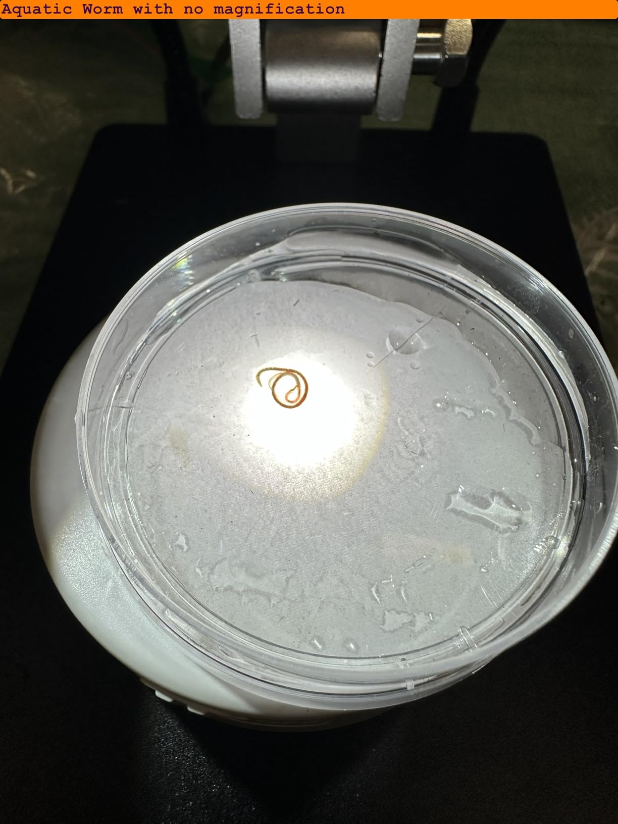 Elikliv 4K 3-Lens Digital Microscope: TL301-Magnetic Coin Microscope Magnifier Full Coin View, Soldering Microscopes for Adults with 7