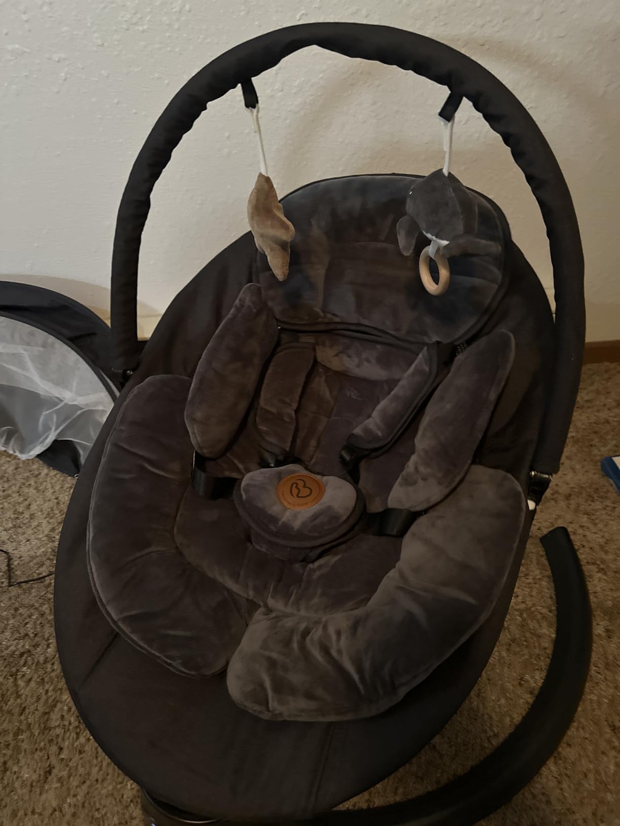 Baby Swings for Infants, FasonBaby Electric Baby Swing with 10 Preset Melodies, 5 Speeds, Remote Control and Bluetooth - Portable Infant Swing for Indoor and Outdoor (Beige) customer photo 2