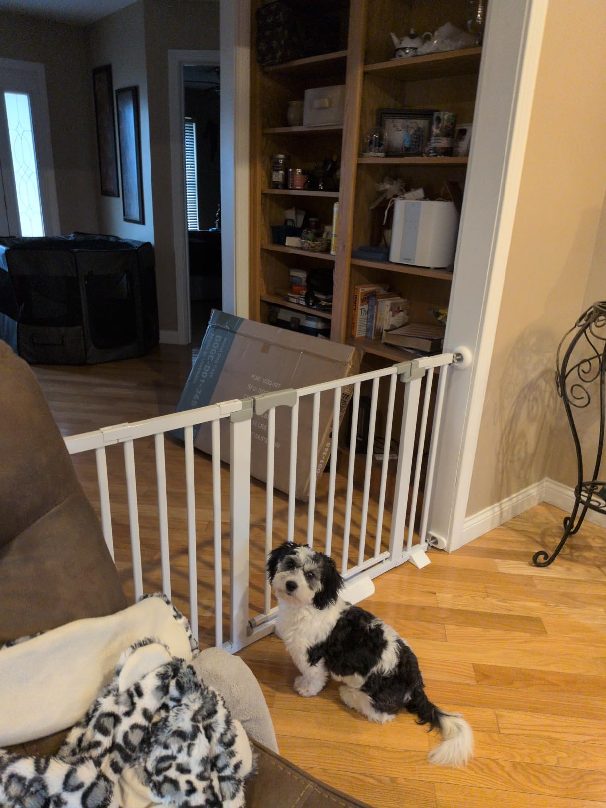 Extra Wide Baby Gate Fits 30-63 Inch Wide Opening, Toddler Pet Gate for Stairs Doorways Hallways Indoor, Walk Thru Large Long Dog Gates Pressure Mounted White customer photo 2