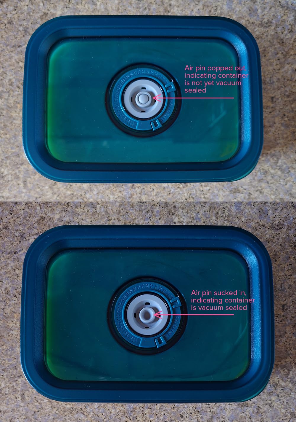 Avid Armor BPA-Free Borosilicate Glass Vacuum Containers, Set of 3 (12.5 oz, 23.7 oz, 38.9 oz) customer photo 2