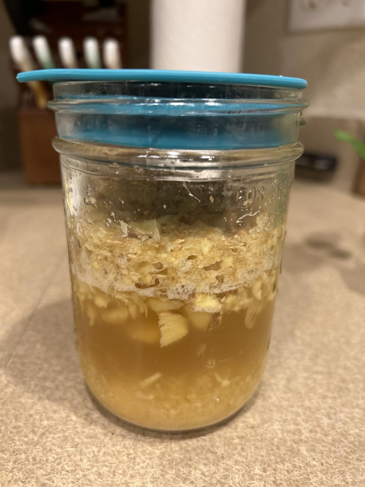 Advanced Fermentation Kit - Pickle Kit, Sauerkraut Making Kit Kimchi Container - Fermentation Airlock Lids for Wide Mouth Mason Jars by The Amish Chef customer photo 1