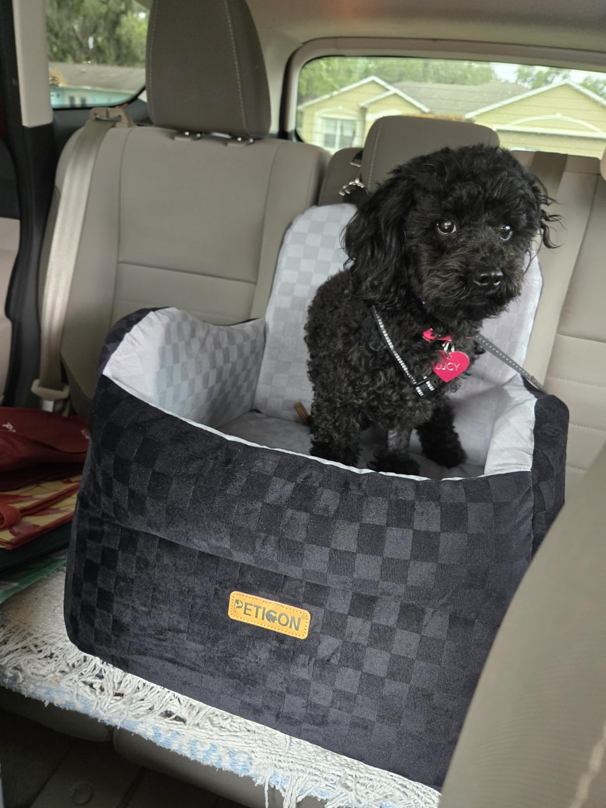 PETICON Waterproof Dog Car Seat for Small Medium Dogs, 6in Memory Foam Pet Booster Seat for Dogs up to 26 lbs with Pockets, Detachable Washable Pet Carseat with Y-Shape Safety Belt customer photo 1